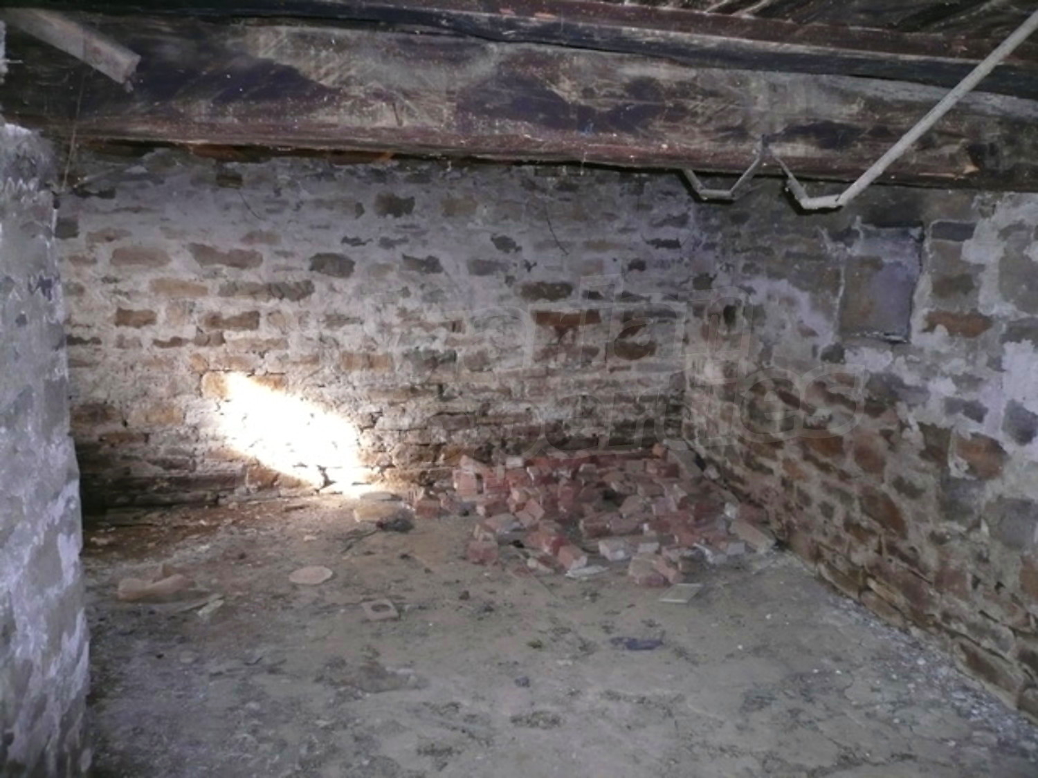 Gallery Picture 5