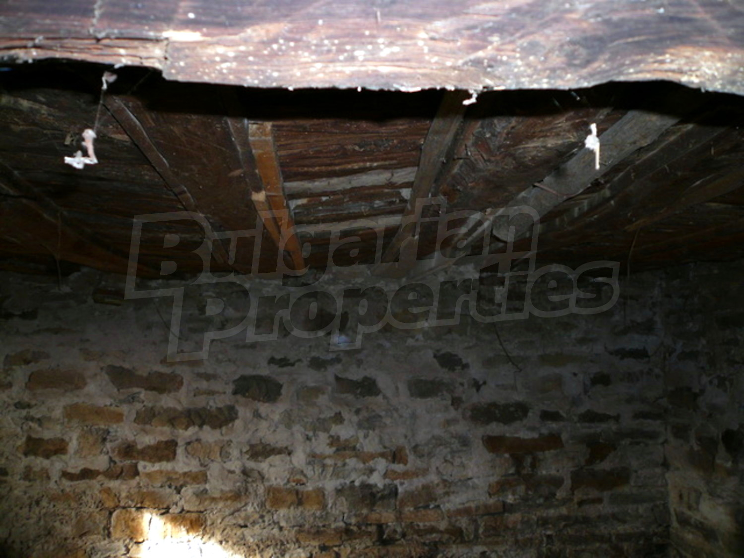 Gallery Picture 6