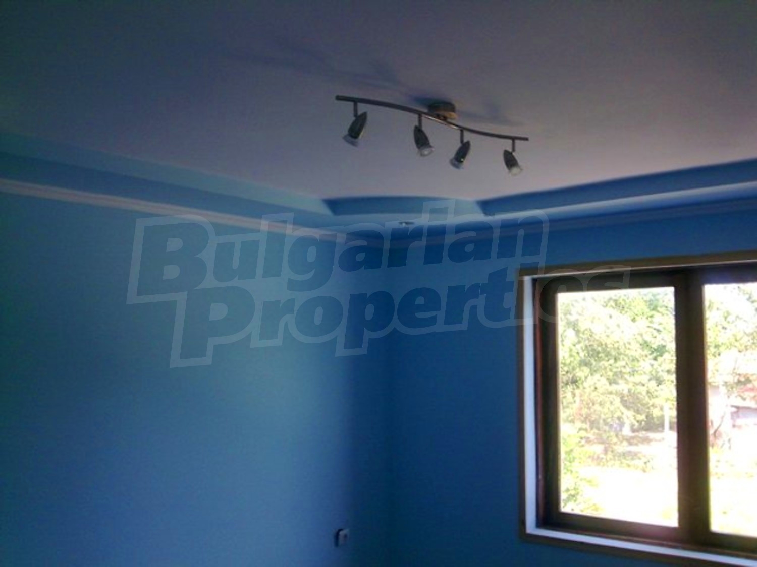 Gallery Picture 12