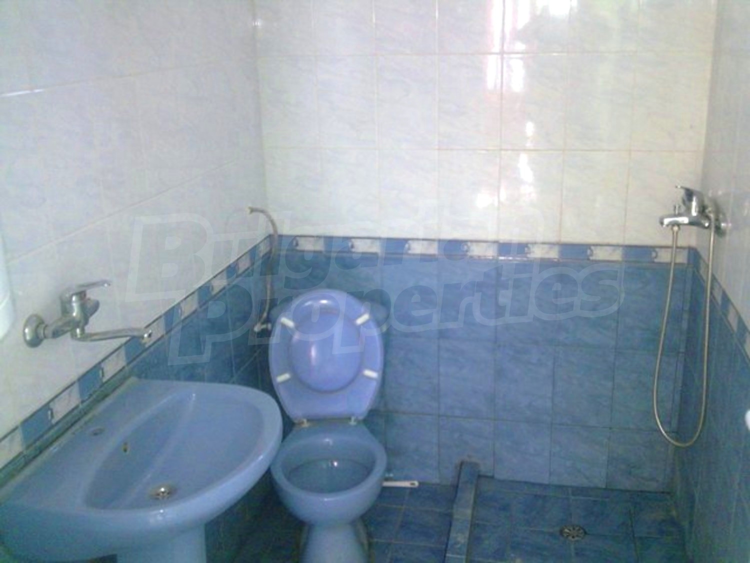 Gallery Picture 16