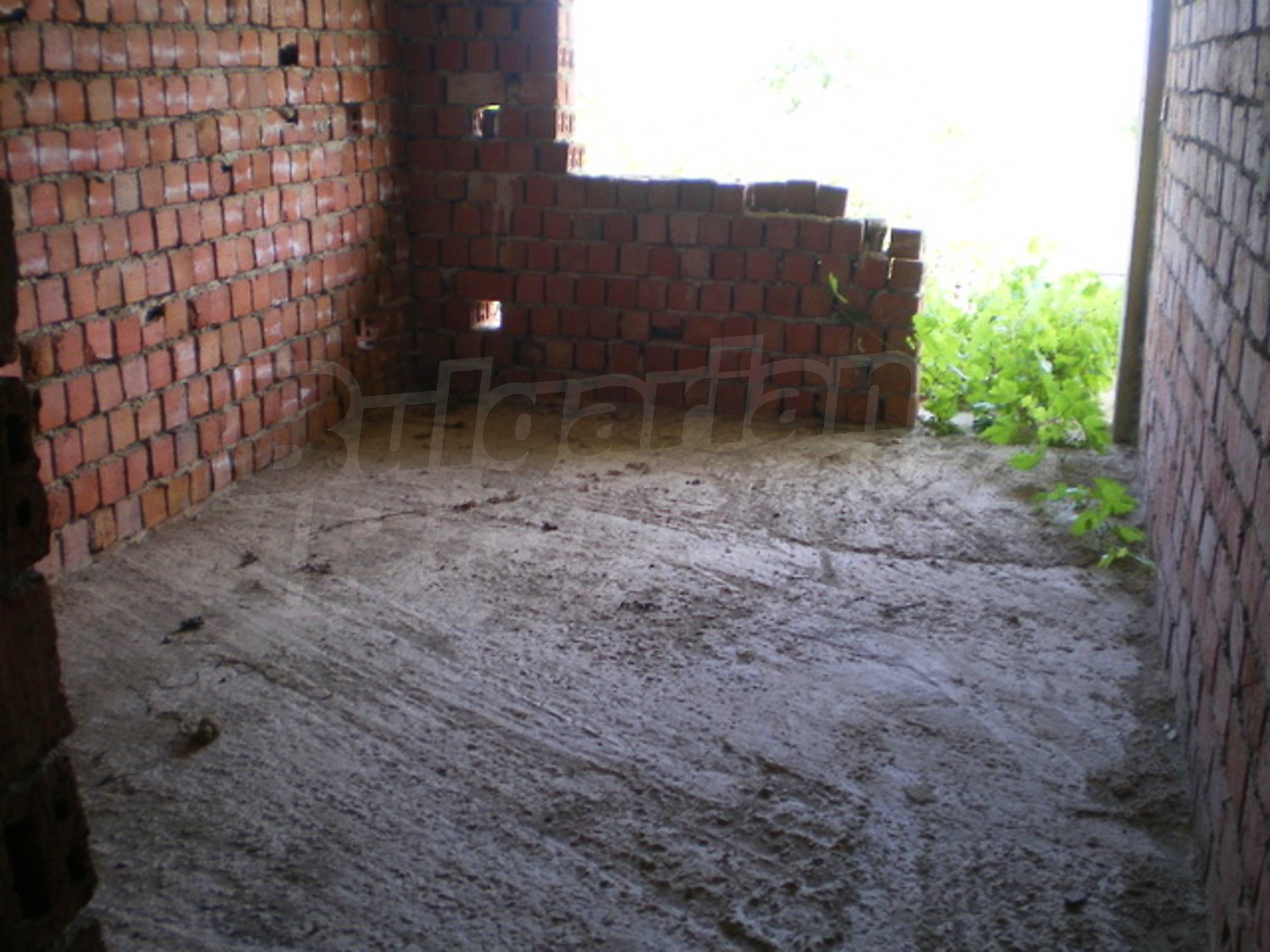Gallery Picture 12