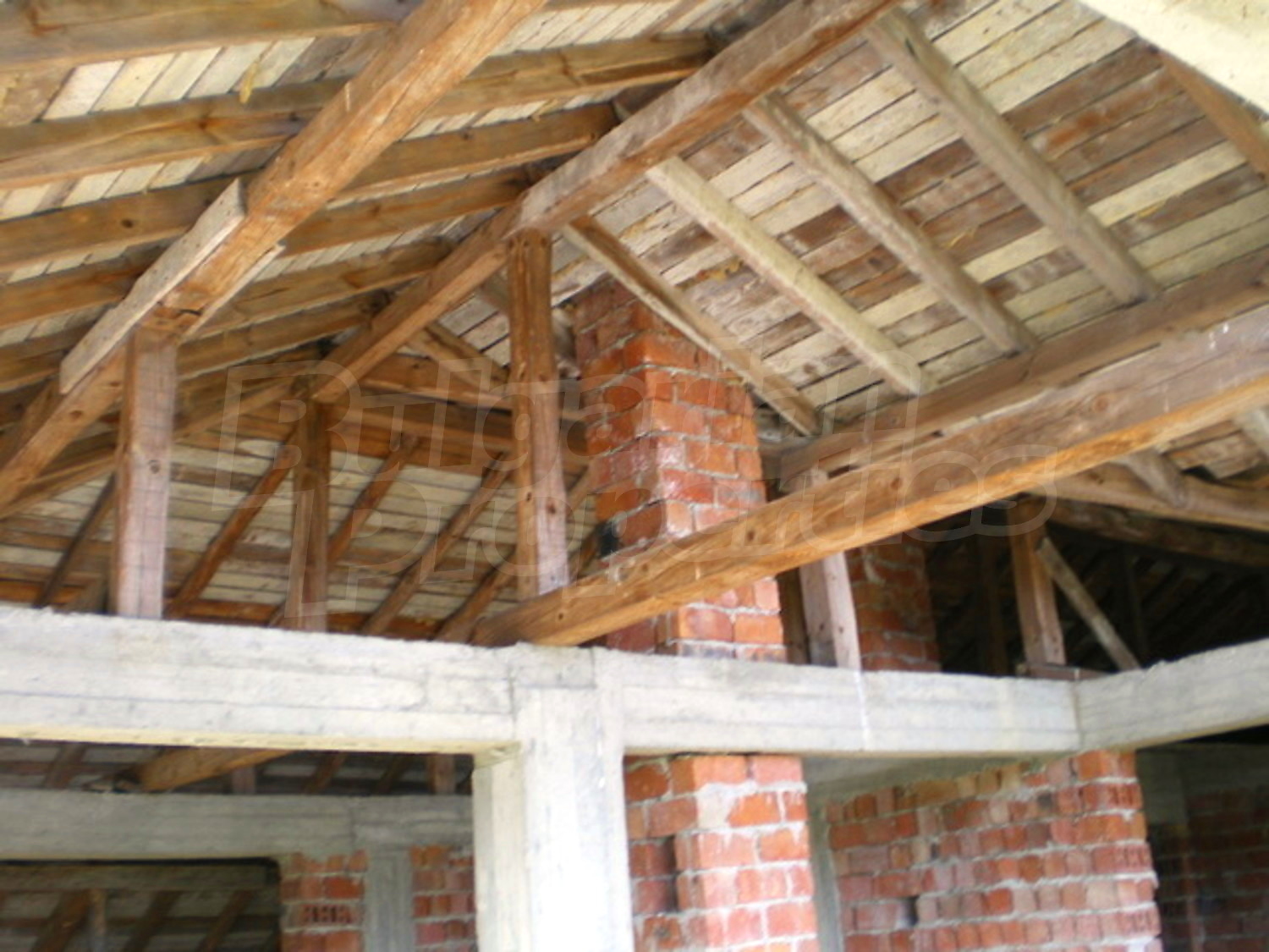 Gallery Picture 15