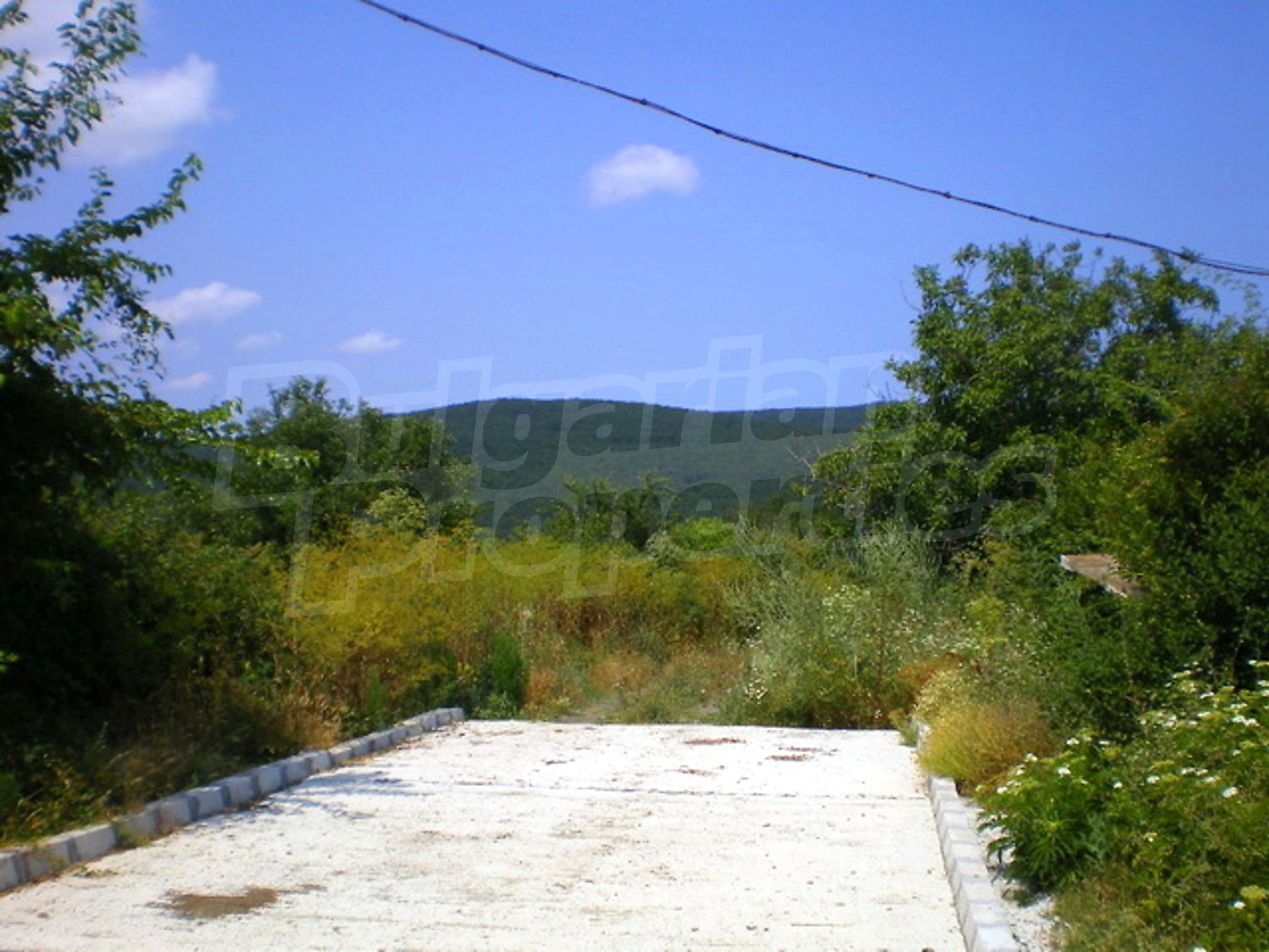 Gallery Picture 23