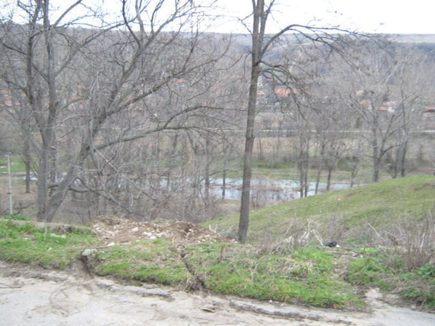 Gallery Picture 14