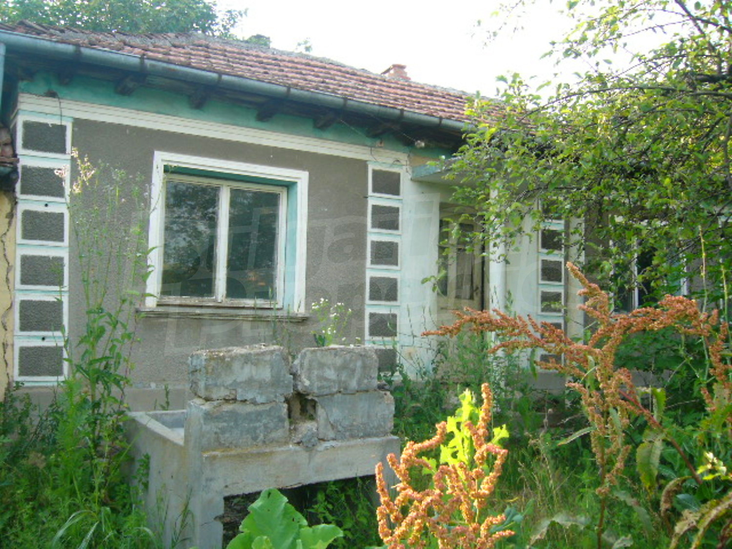Gallery Picture 2