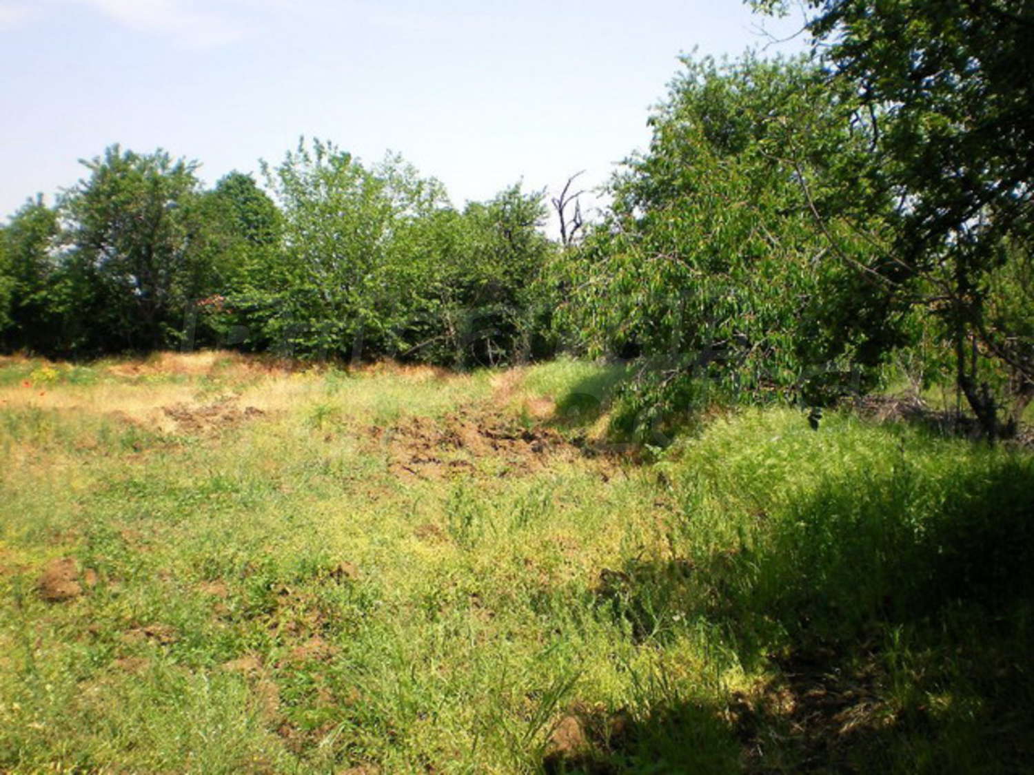 Gallery Picture 11