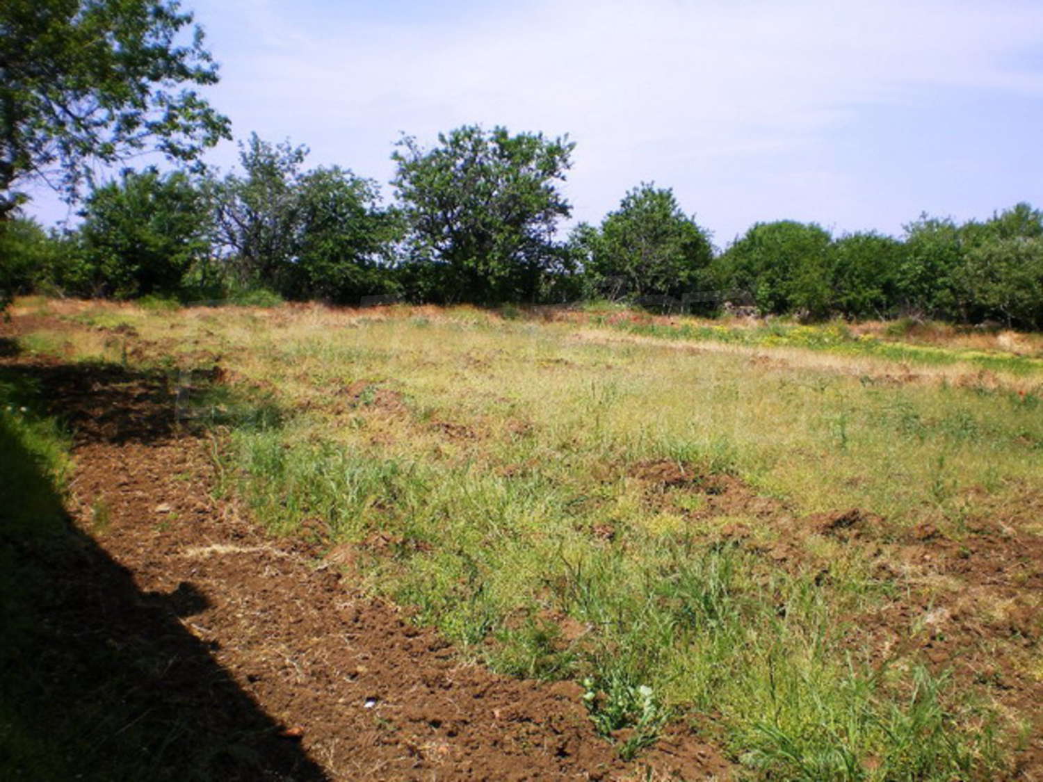 Gallery Picture 12
