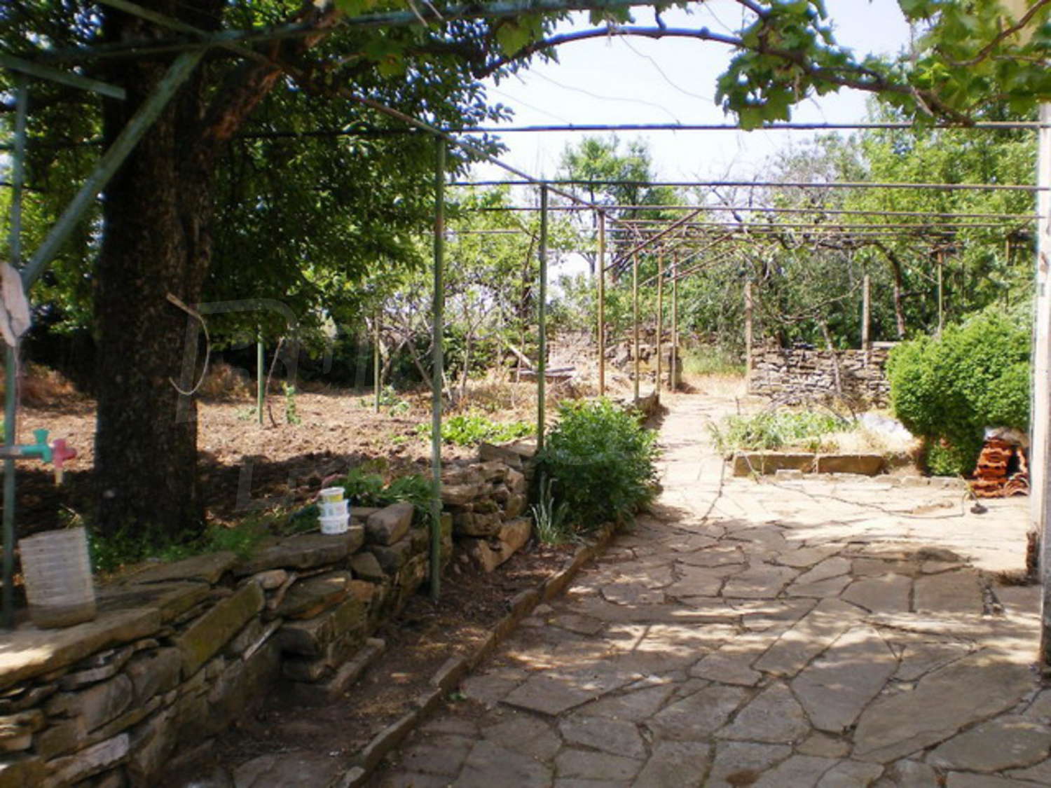 Gallery Picture 5