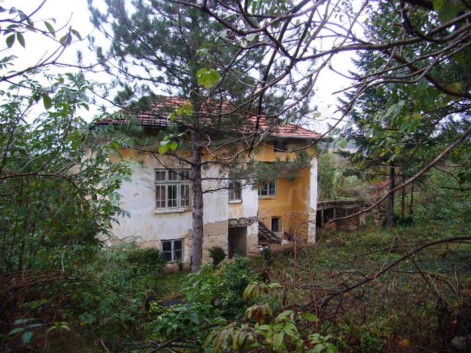 Gallery Picture 3