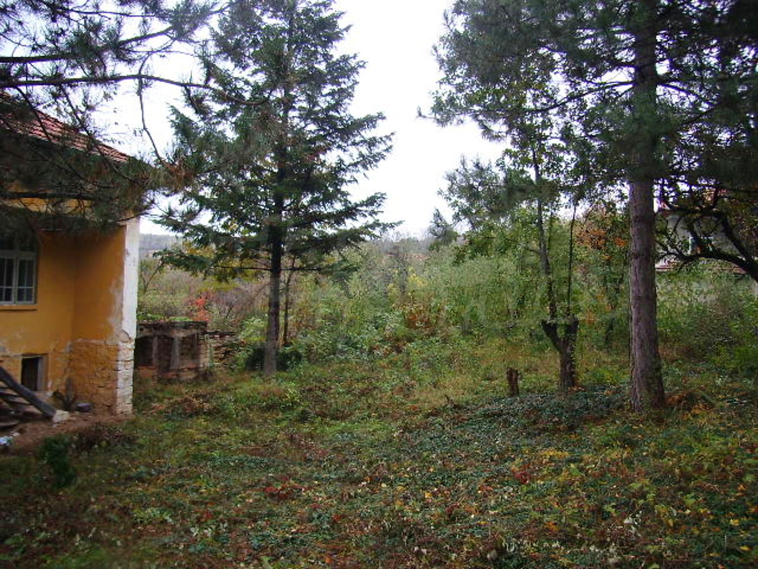 Gallery Picture 4