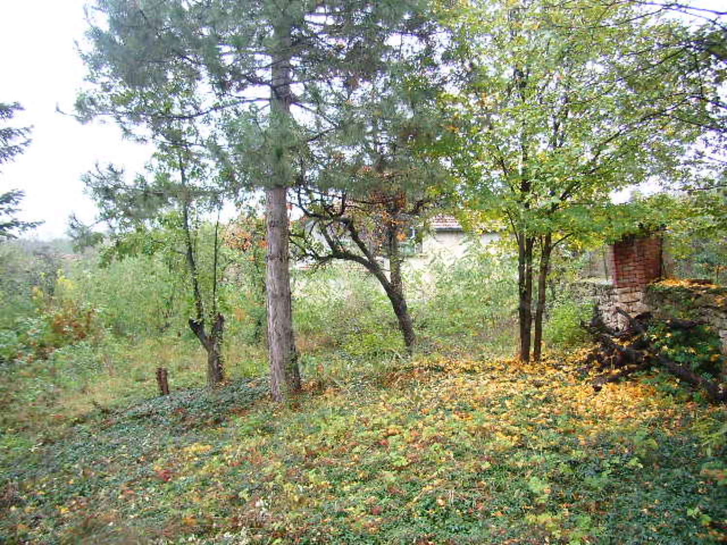 Gallery Picture 5