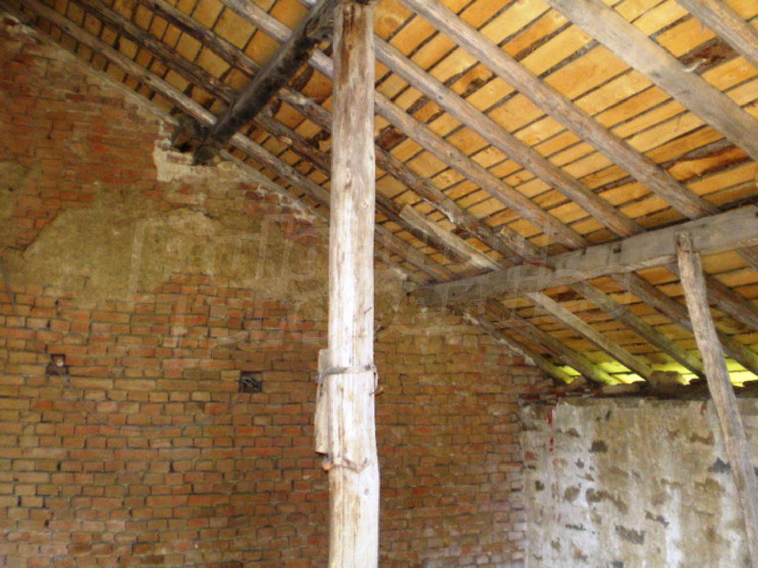 Gallery Picture 16