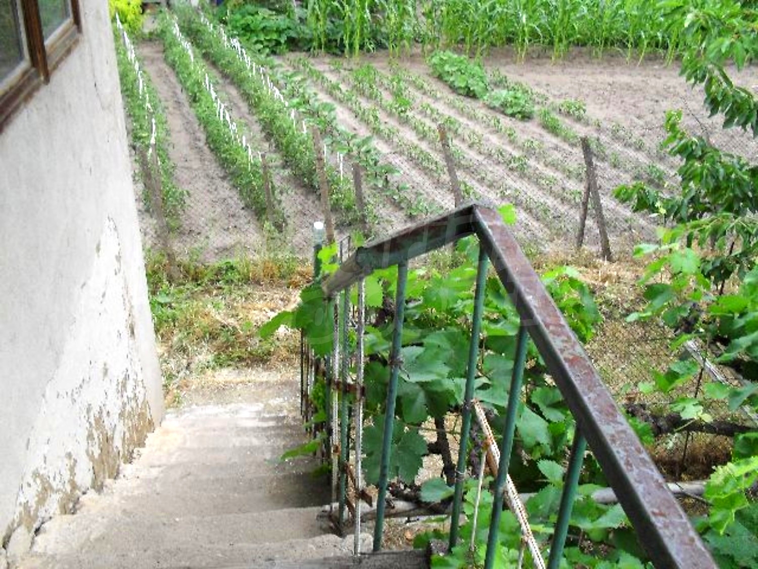 Gallery Picture 10