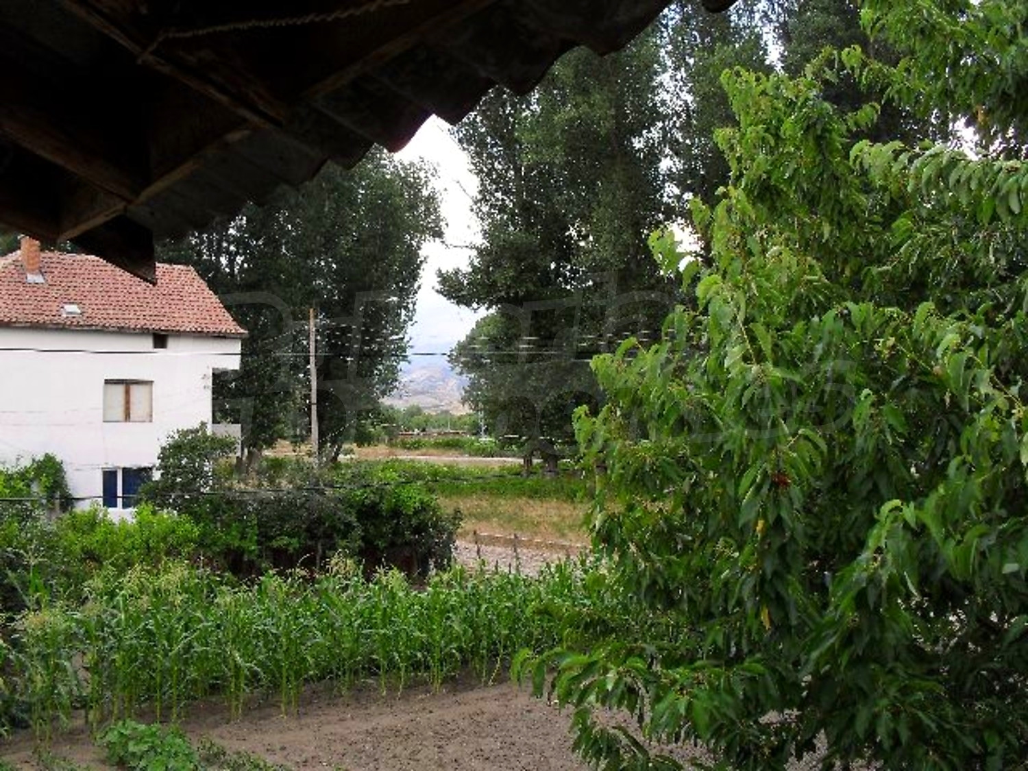 Gallery Picture 5