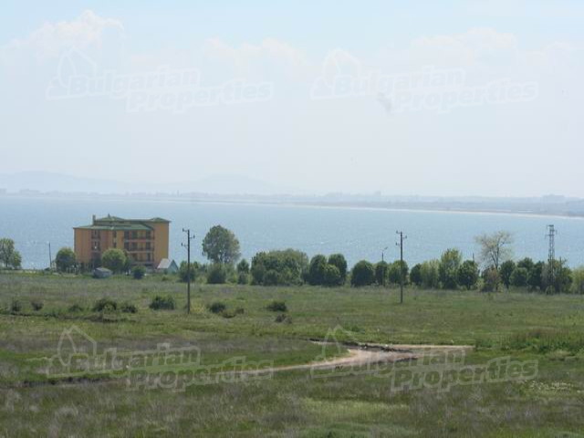 Gallery Picture 12