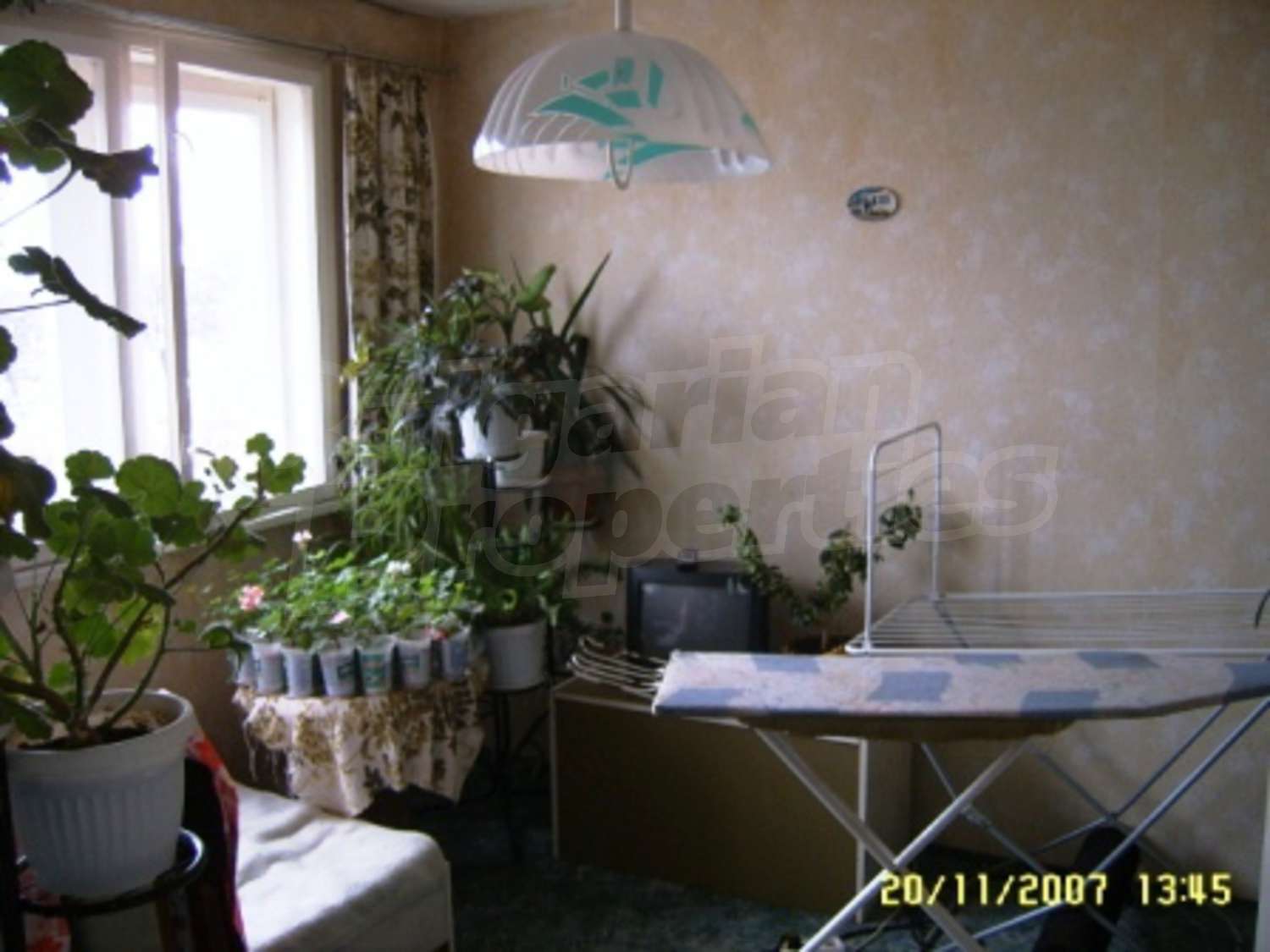 Gallery Picture 21
