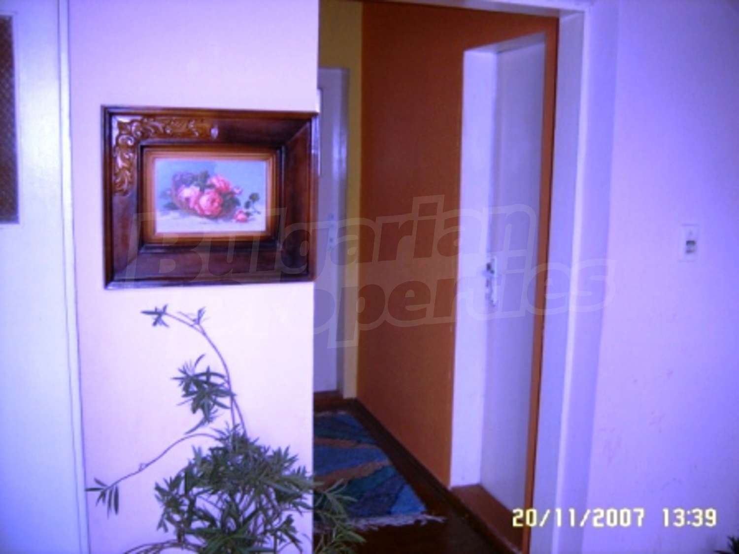 Gallery Picture 7