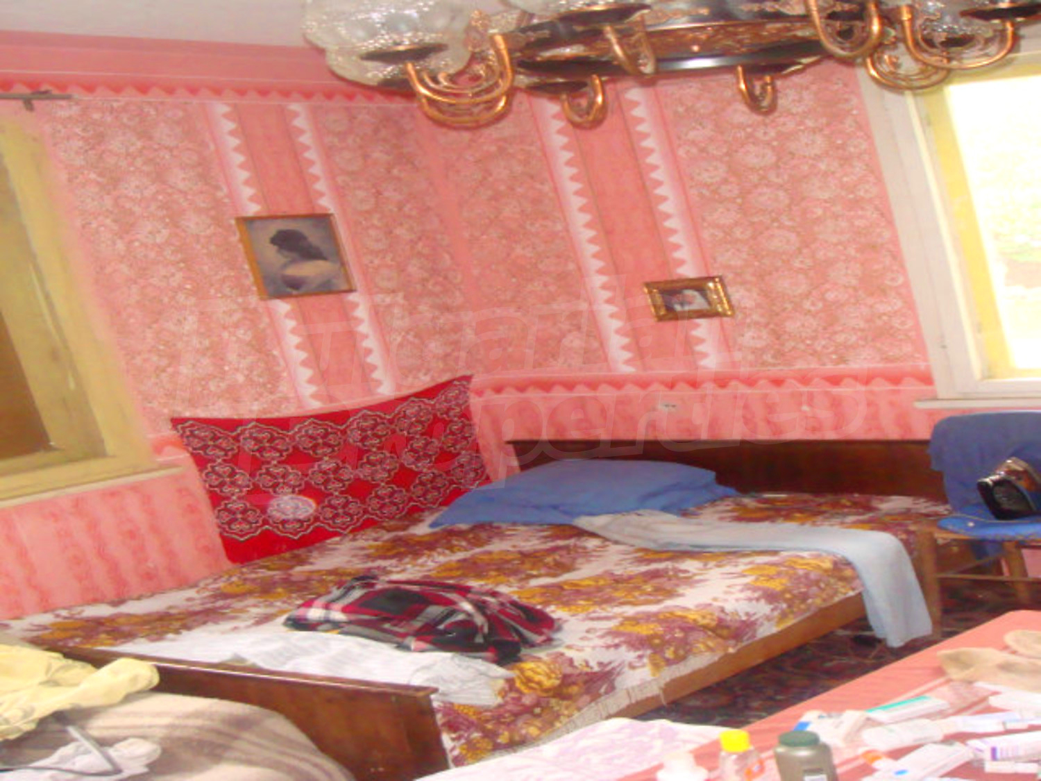 Gallery Picture 5