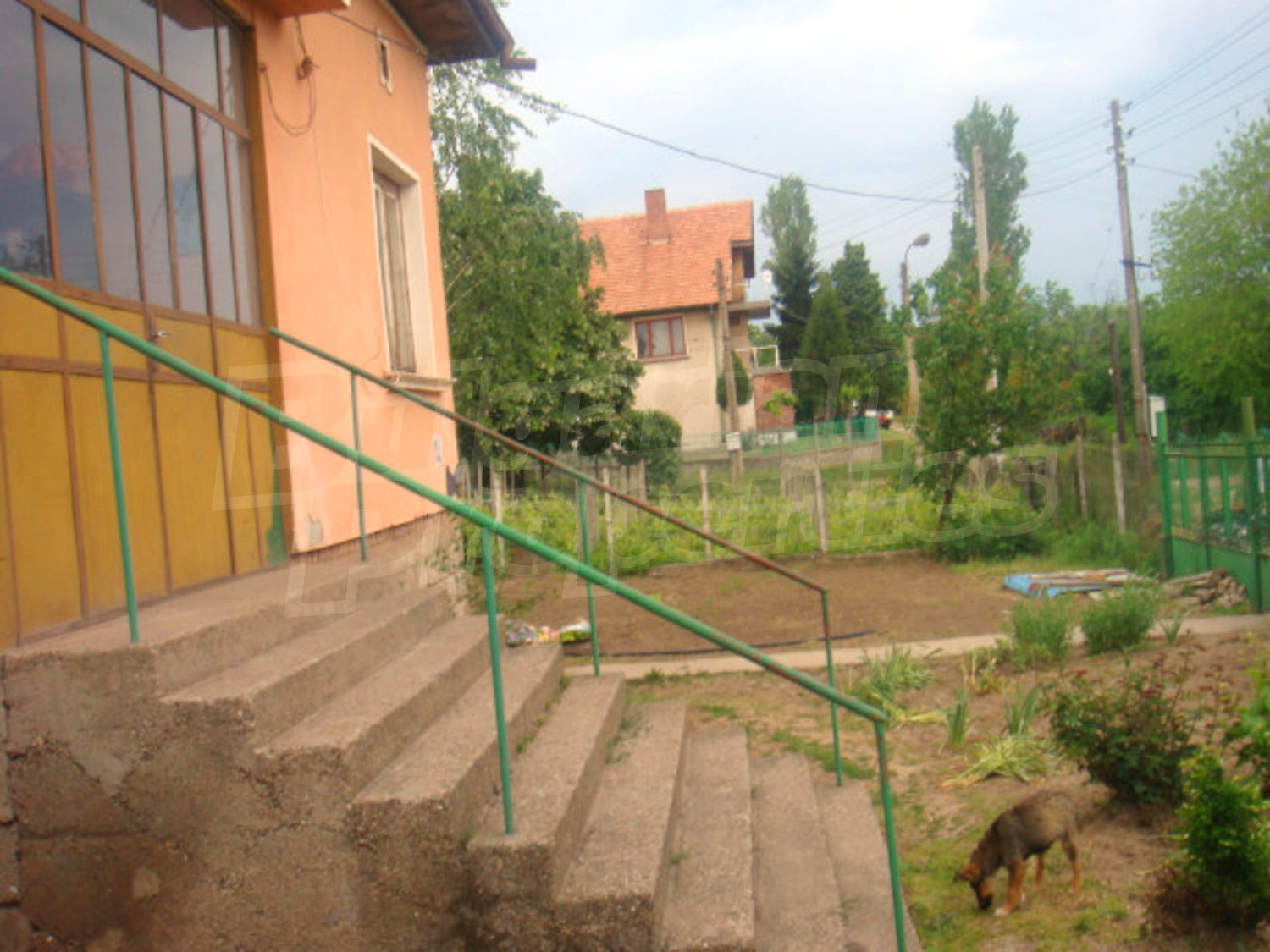 Gallery Picture 6