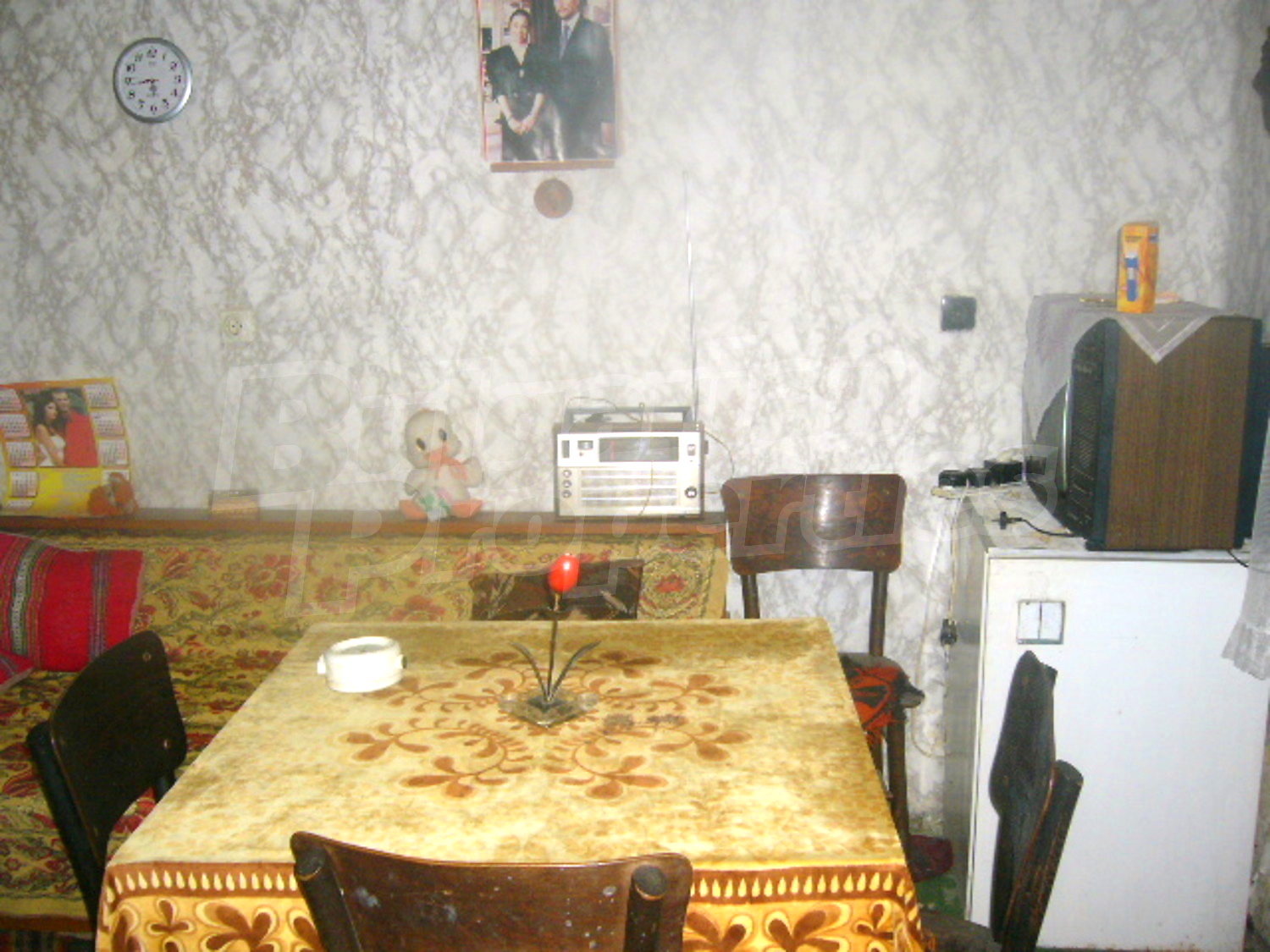 Gallery Picture 13