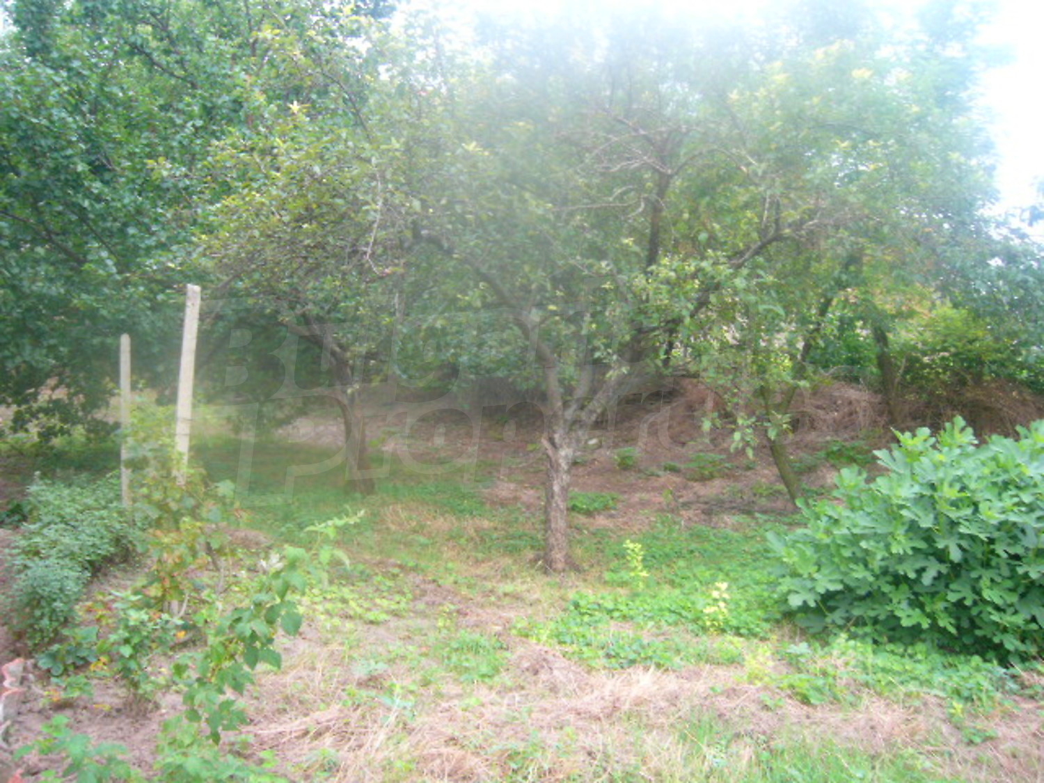 Gallery Picture 17