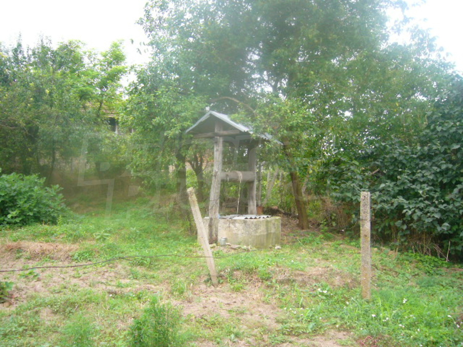 Gallery Picture 18