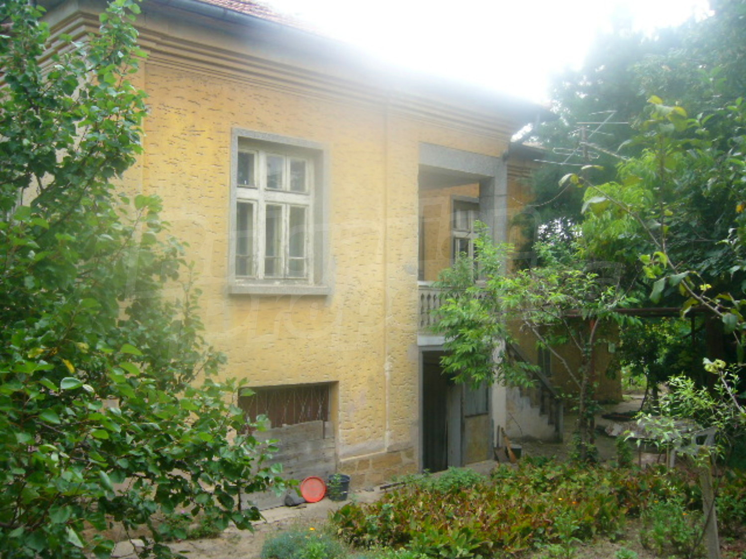 Gallery Picture 4