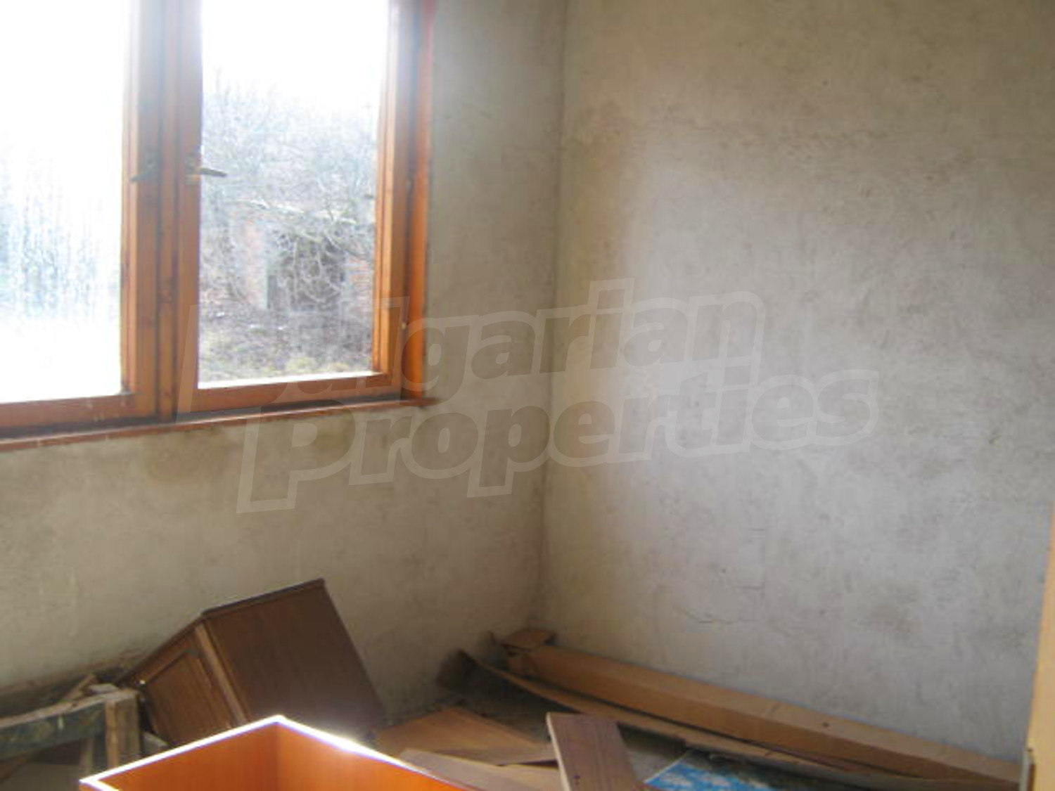Gallery Picture 6