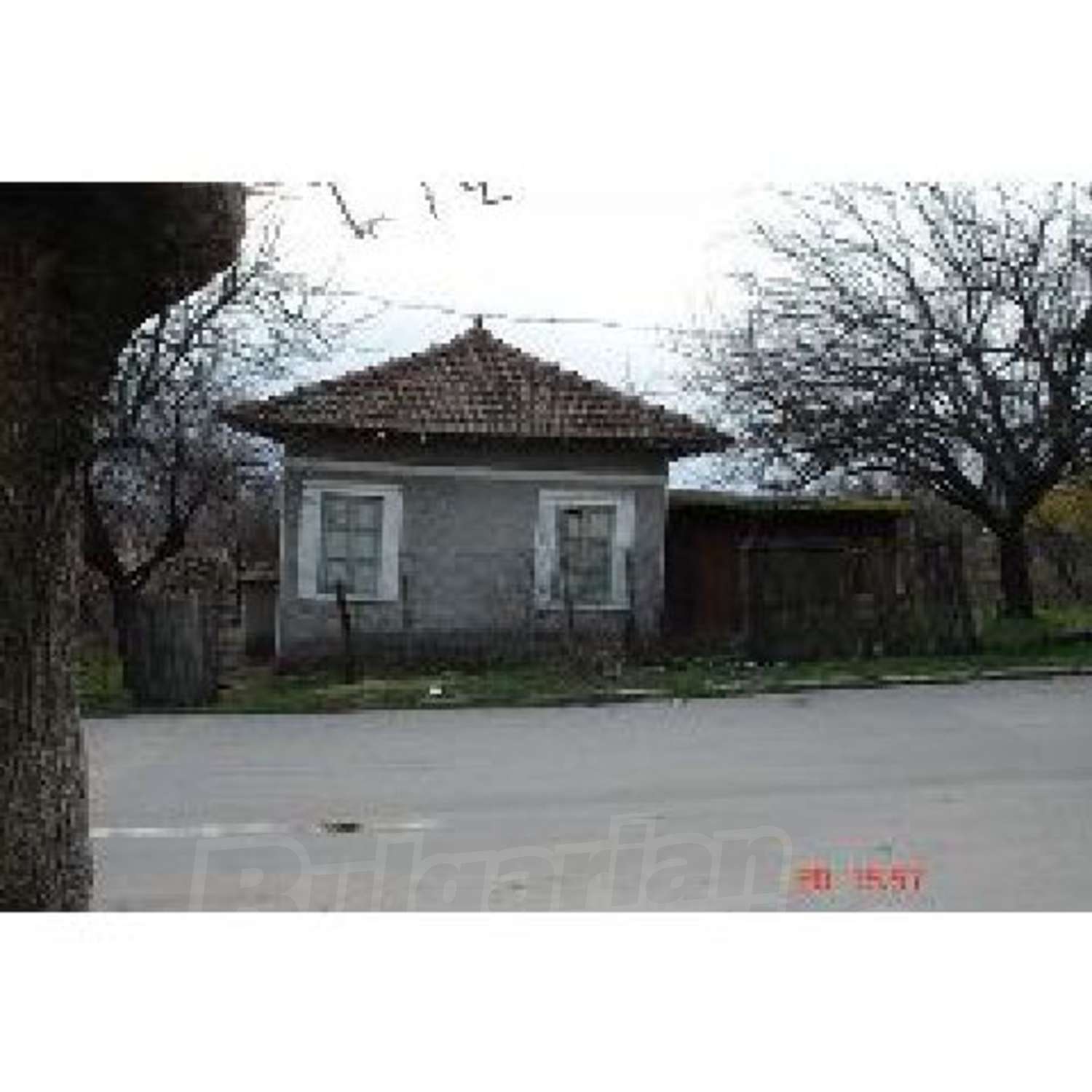 Gallery Picture 5