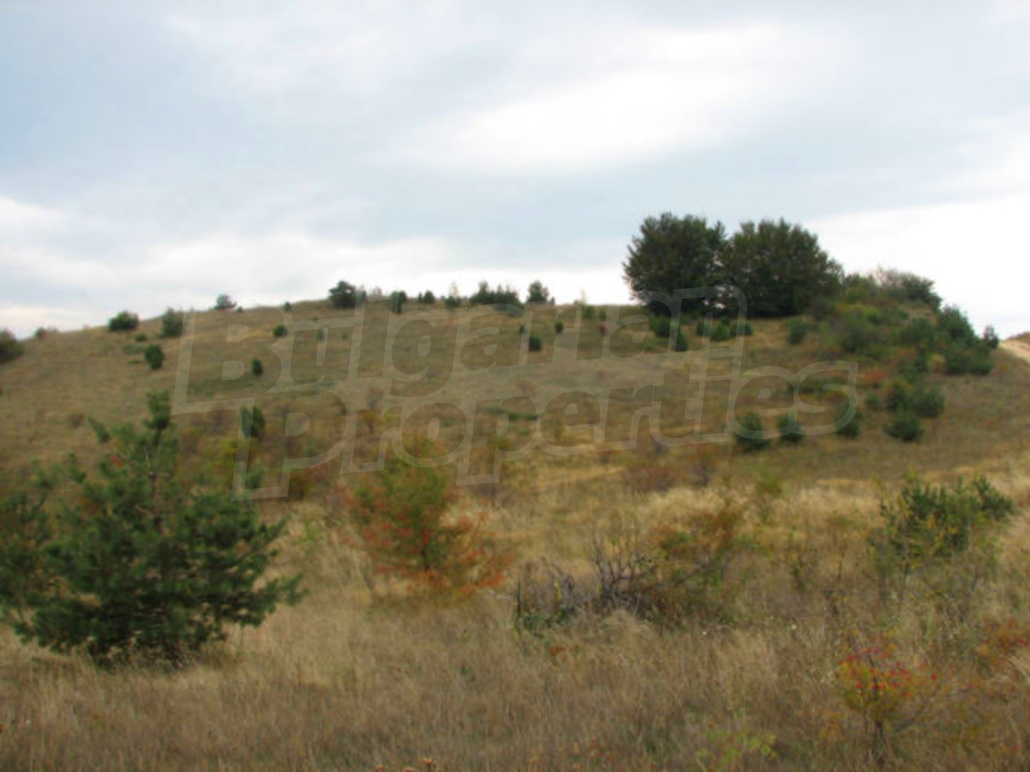 Gallery Picture 10