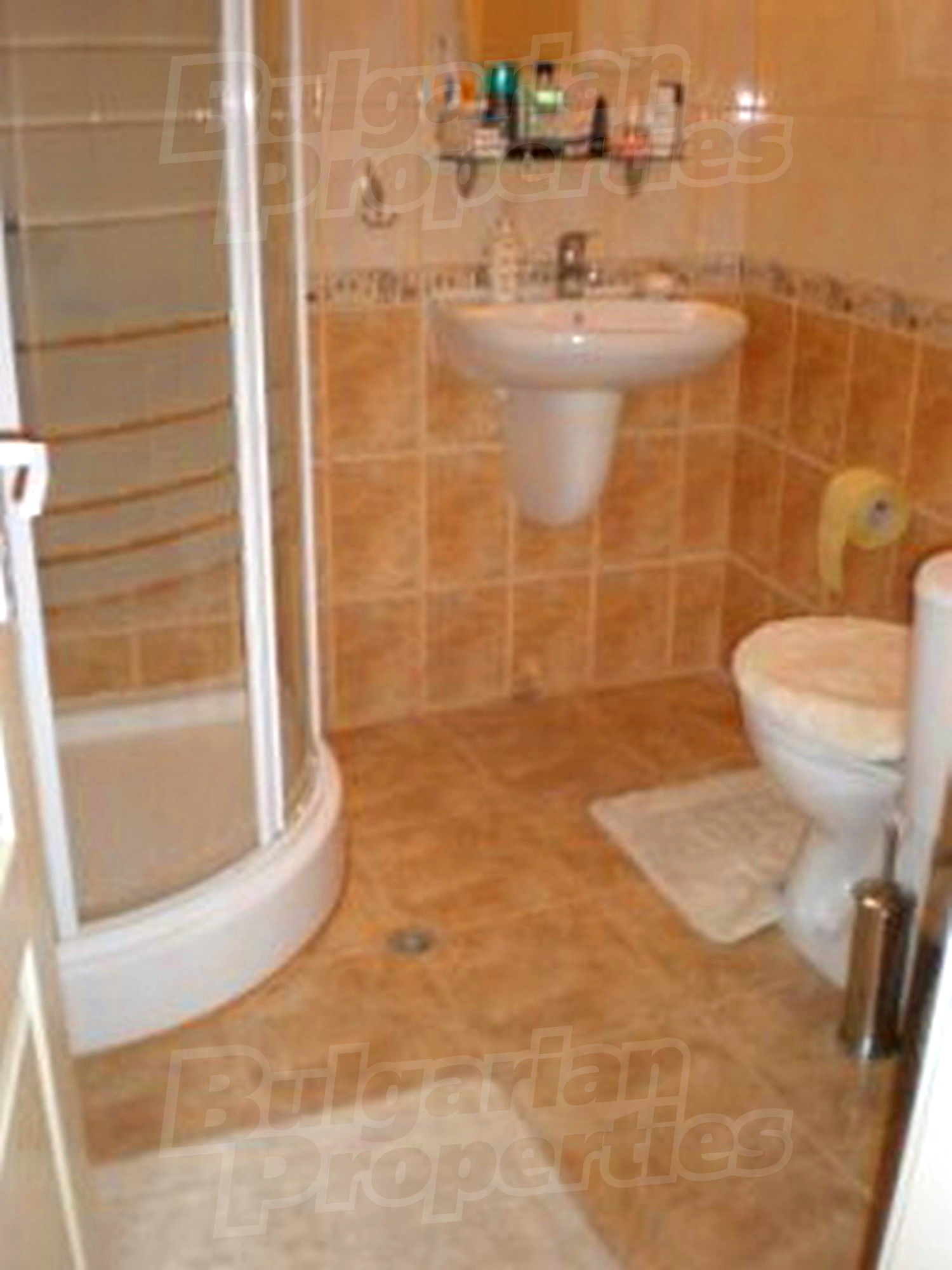 Gallery Picture 14