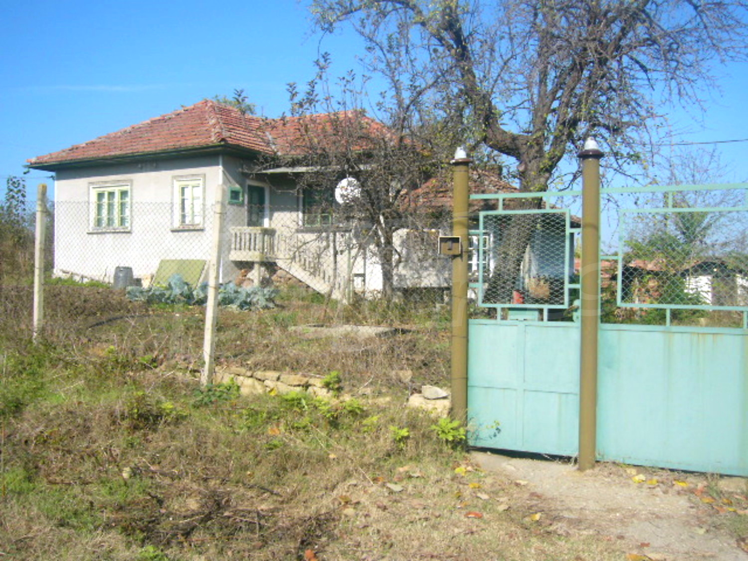 Gallery Picture 5