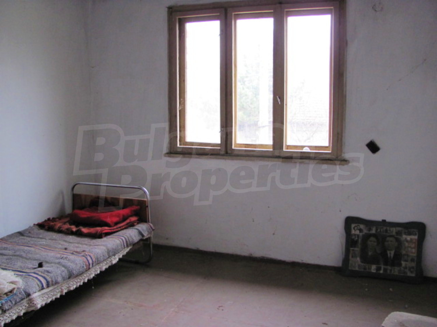 Gallery Picture 9