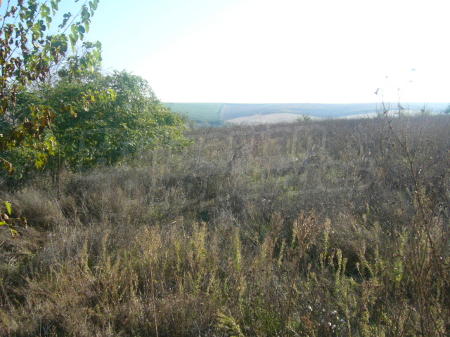 Gallery Picture 5