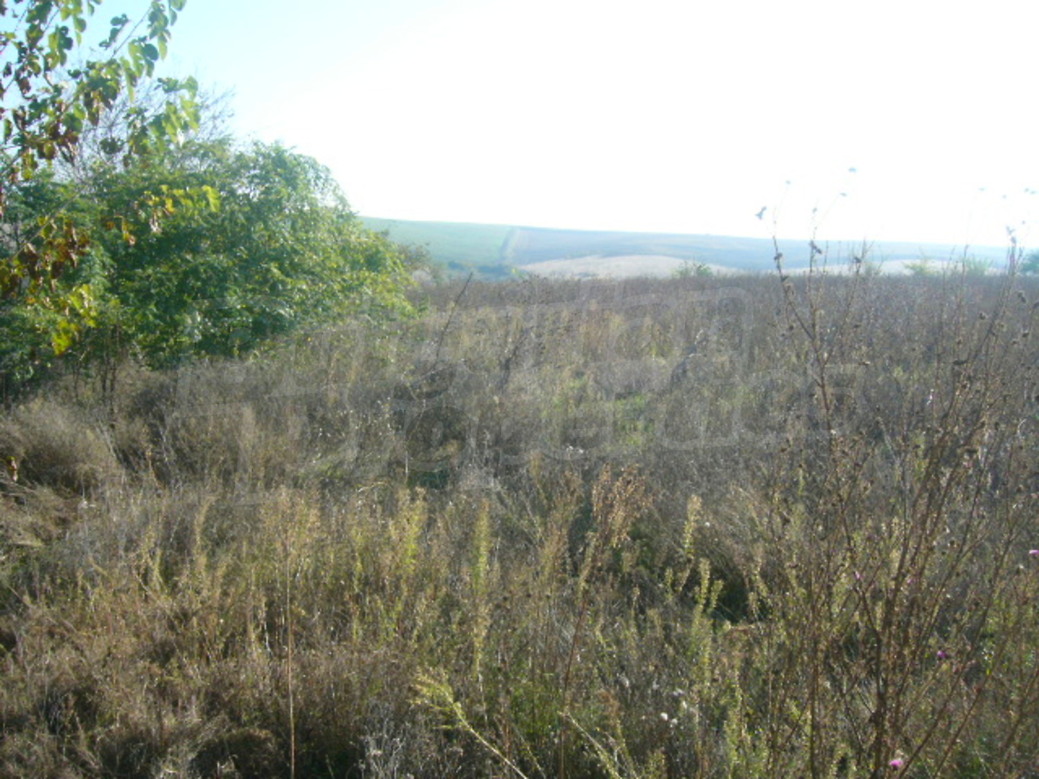 Gallery Picture 6