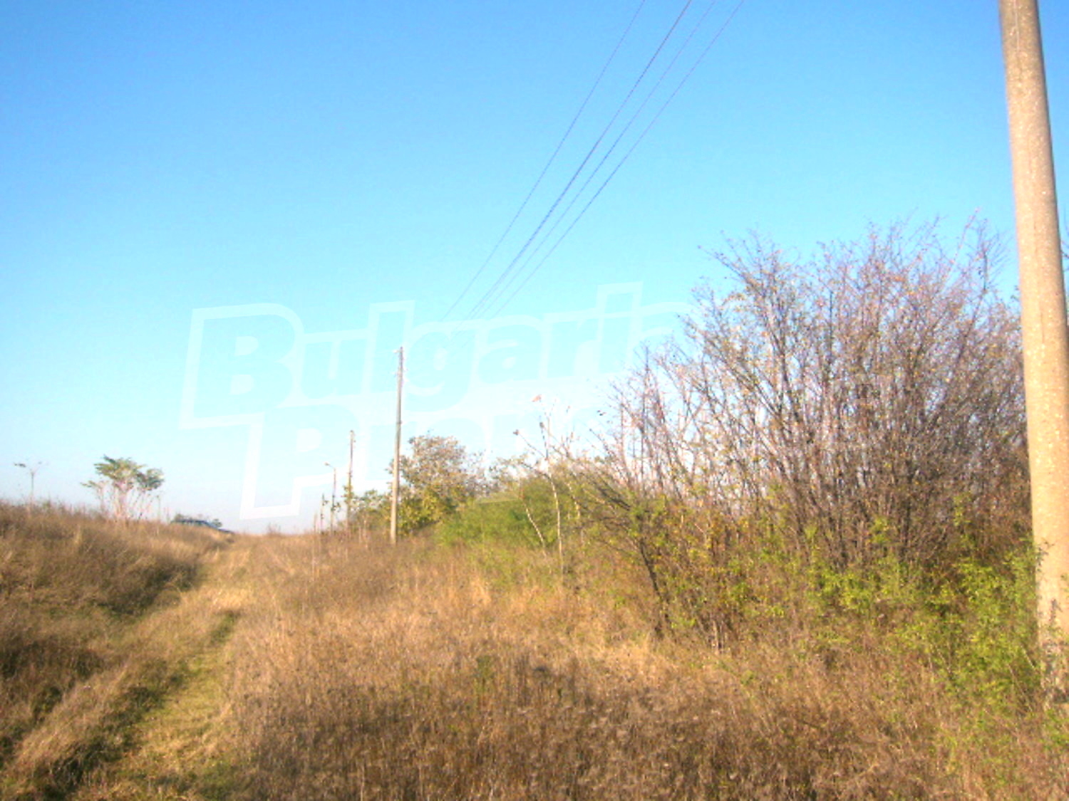 Gallery Picture 8
