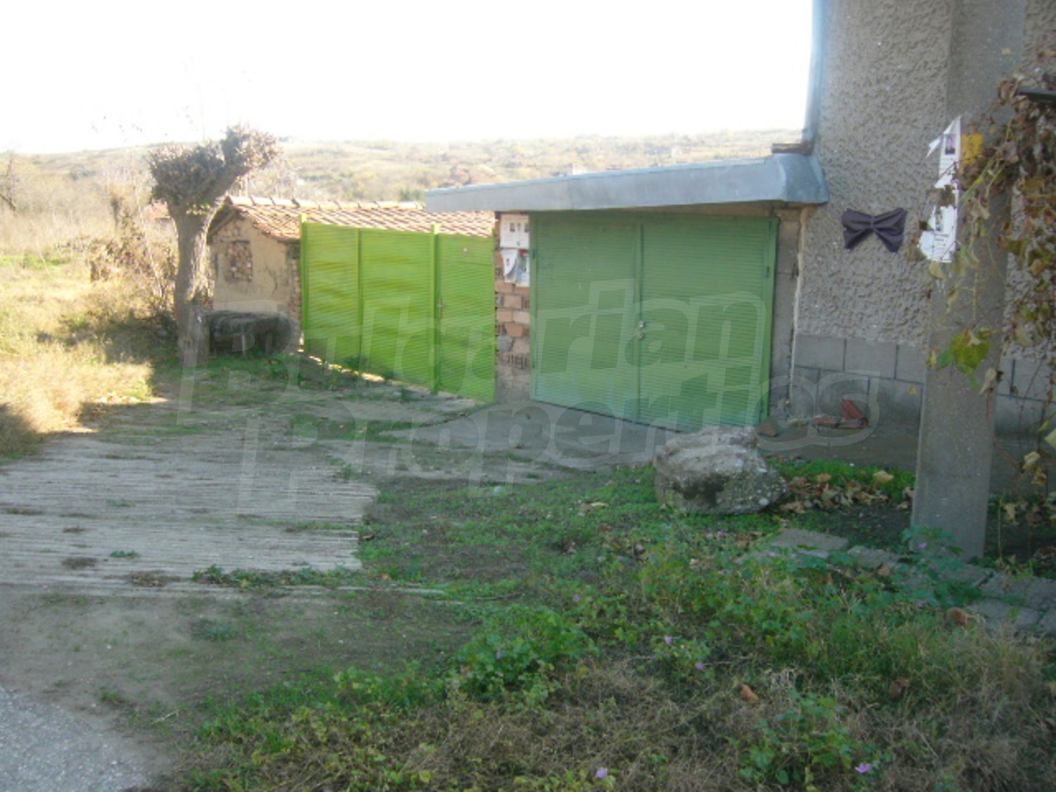 Gallery Picture 17
