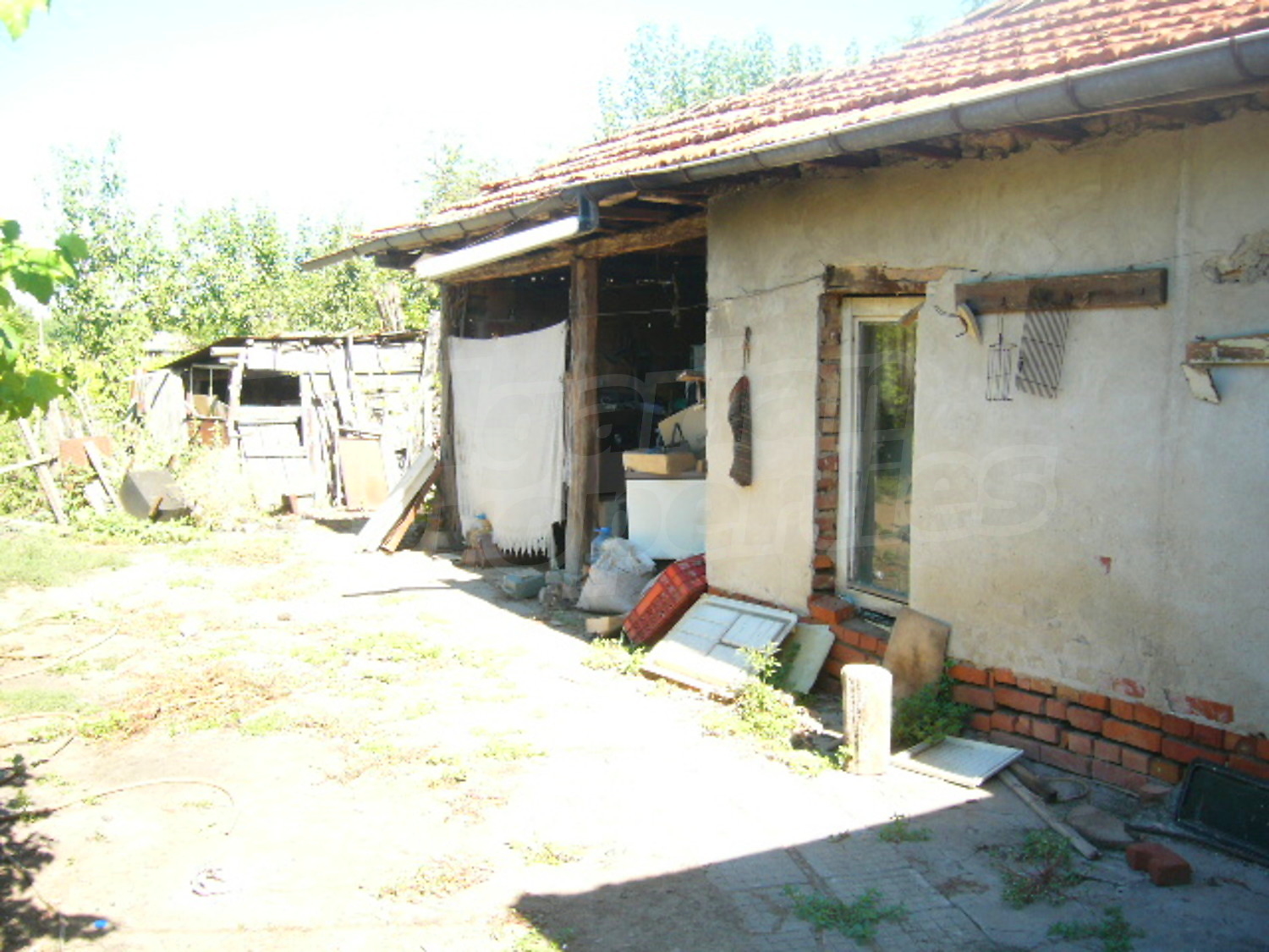 Gallery Picture 5