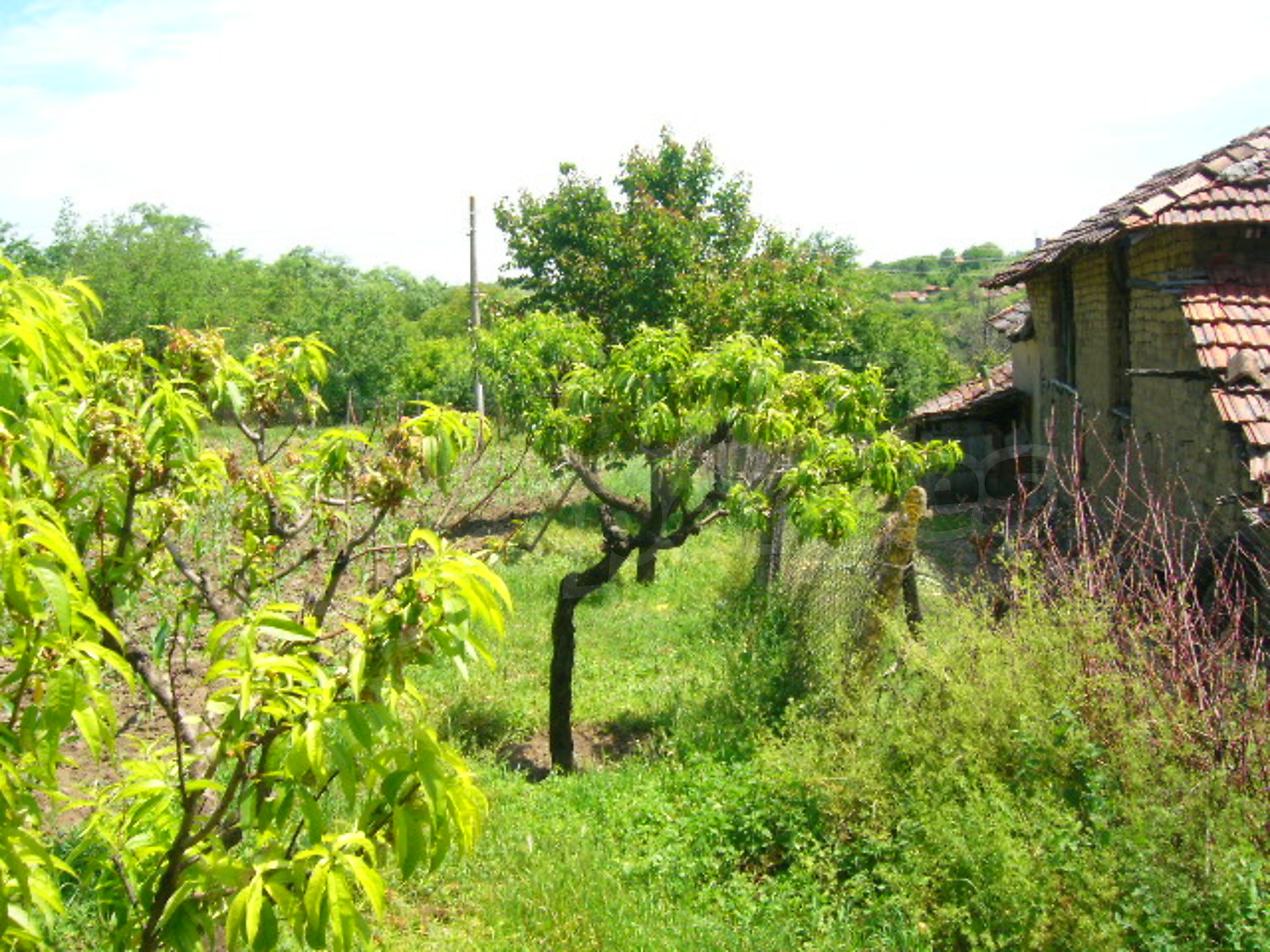Gallery Picture 11