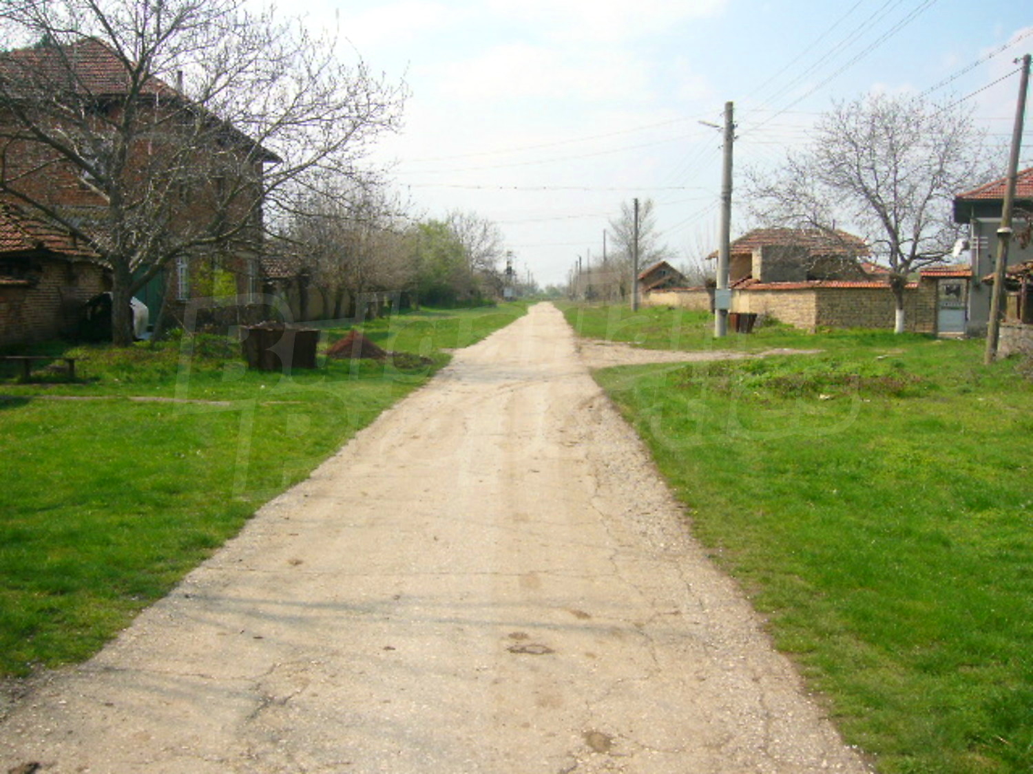 Gallery Picture 15