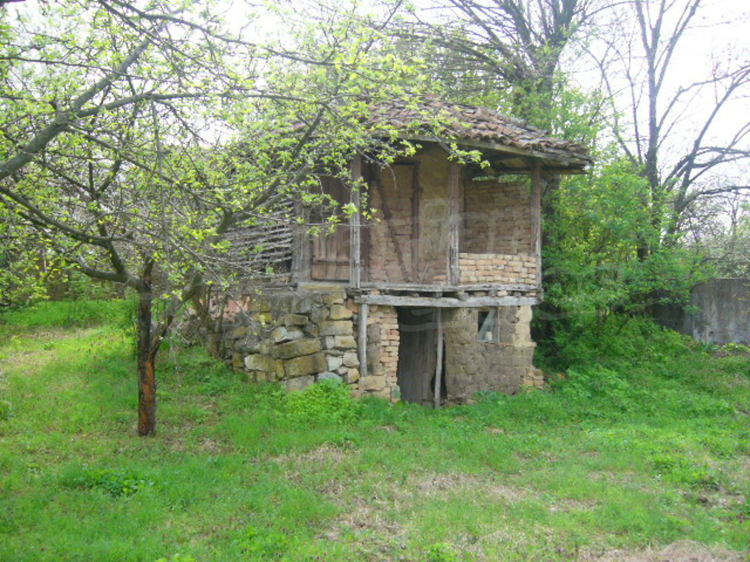 Gallery Picture 12
