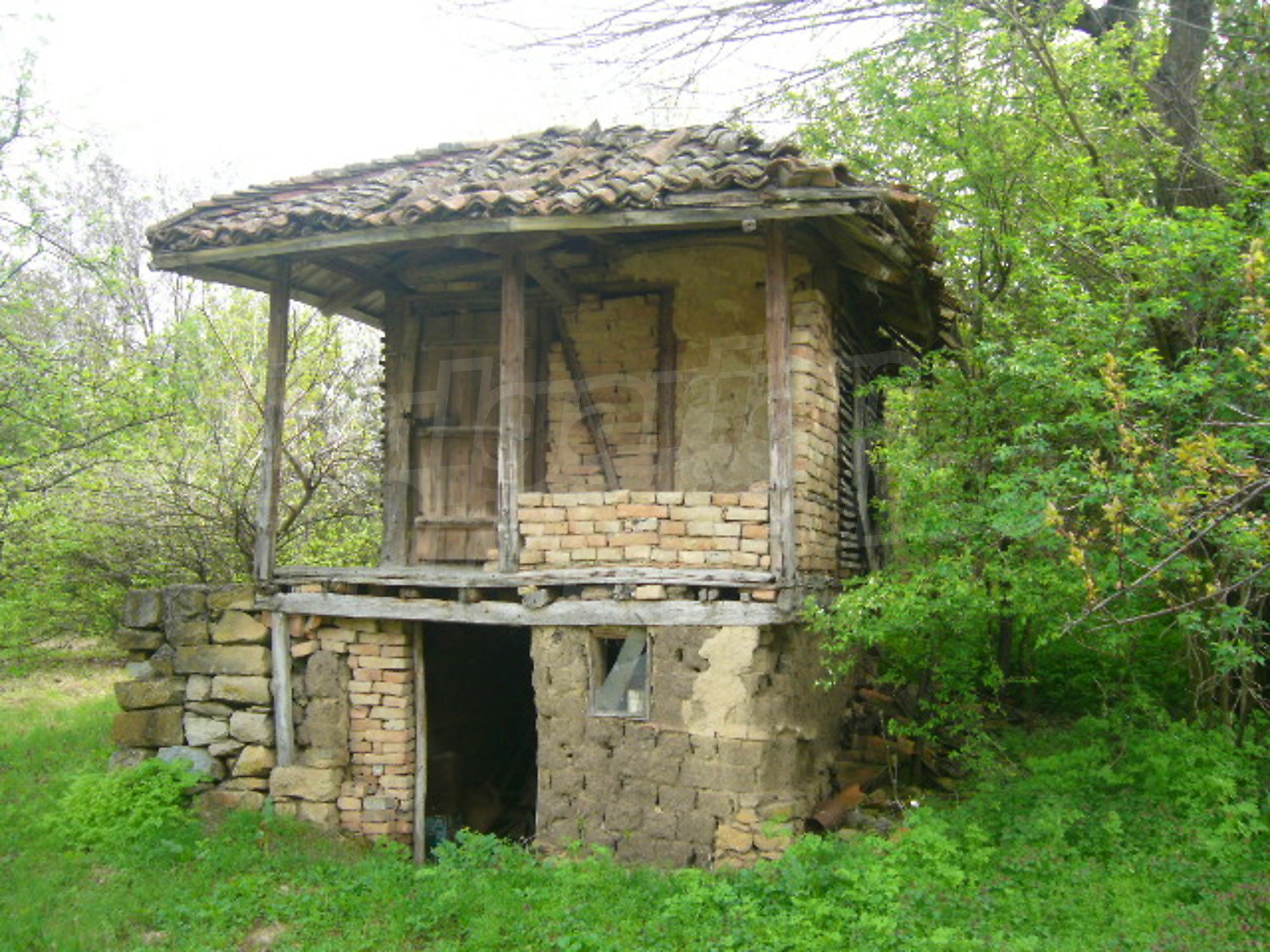 Gallery Picture 13