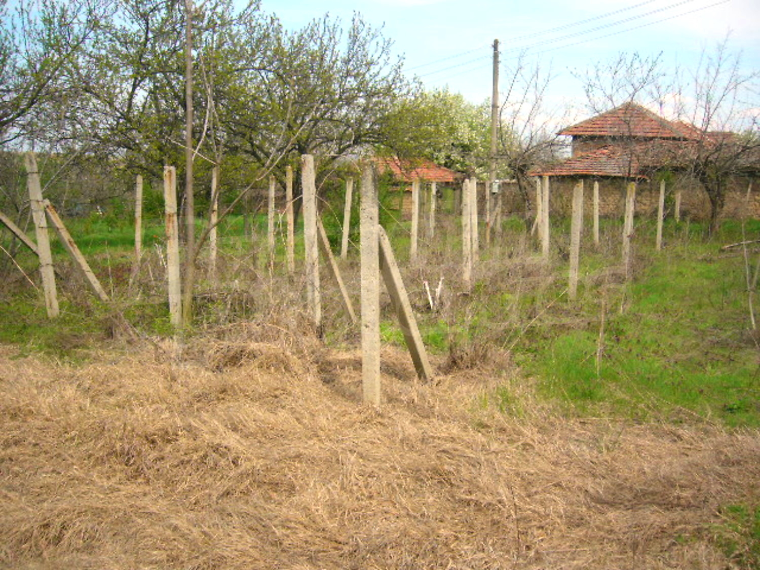 Gallery Picture 14
