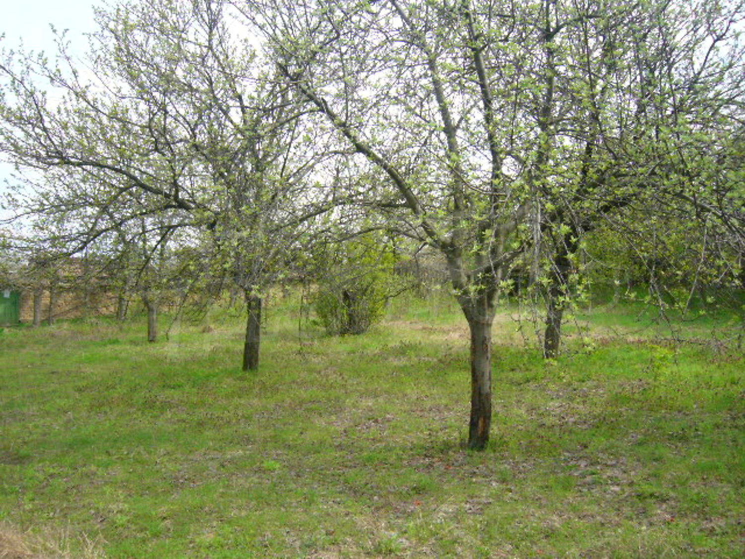 Gallery Picture 15