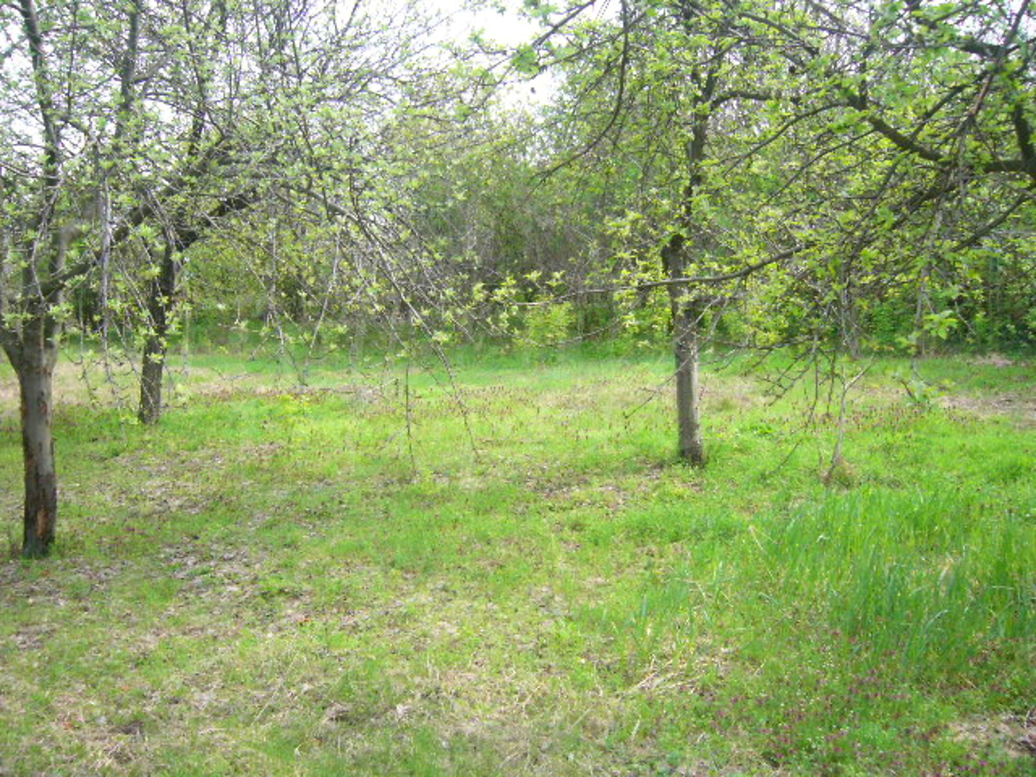 Gallery Picture 16