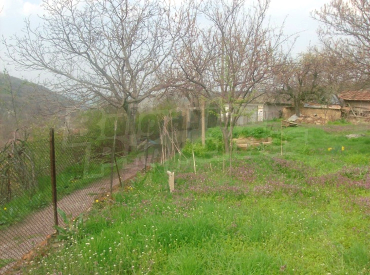 Gallery Picture 16