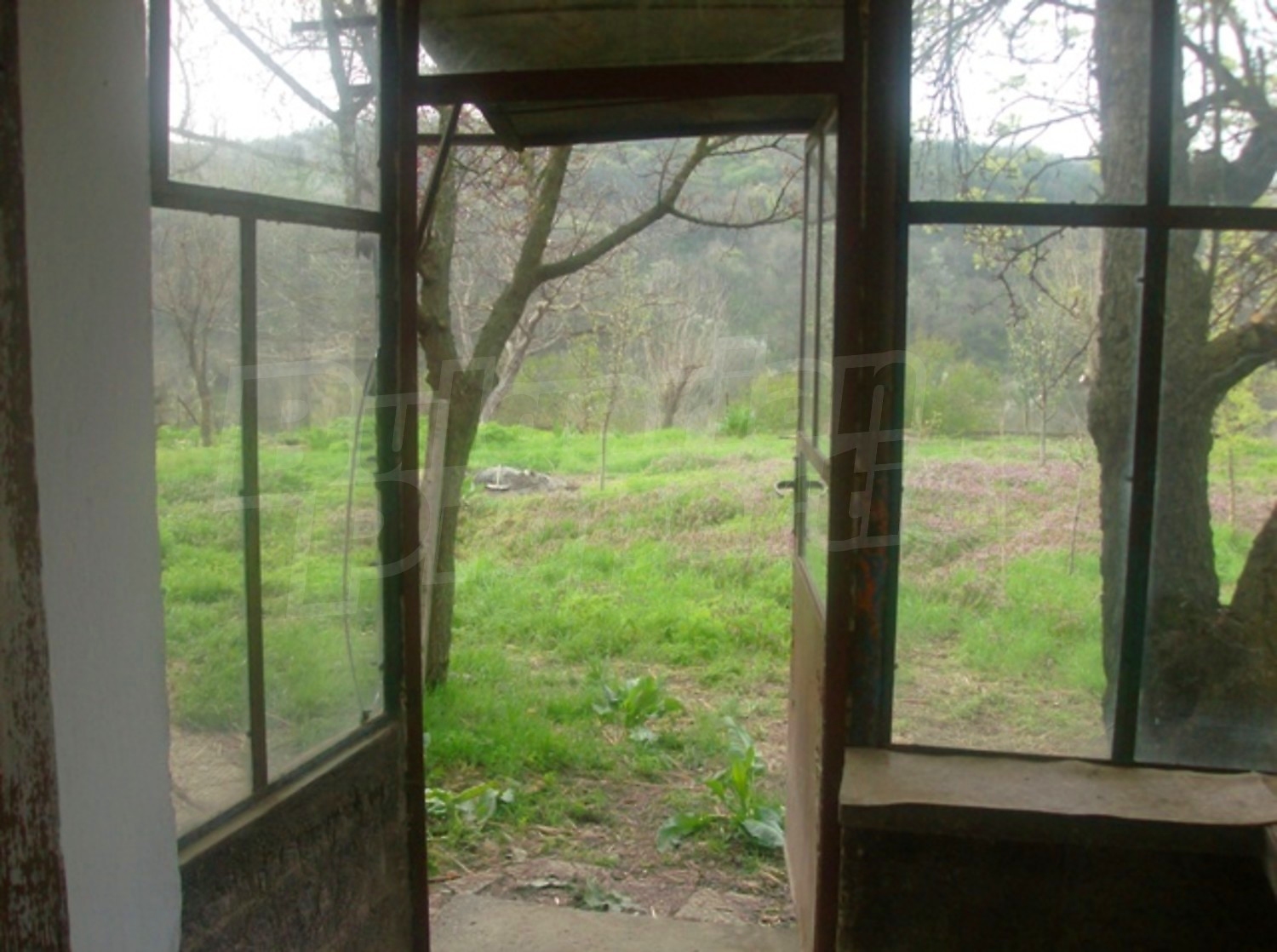 Gallery Picture 7