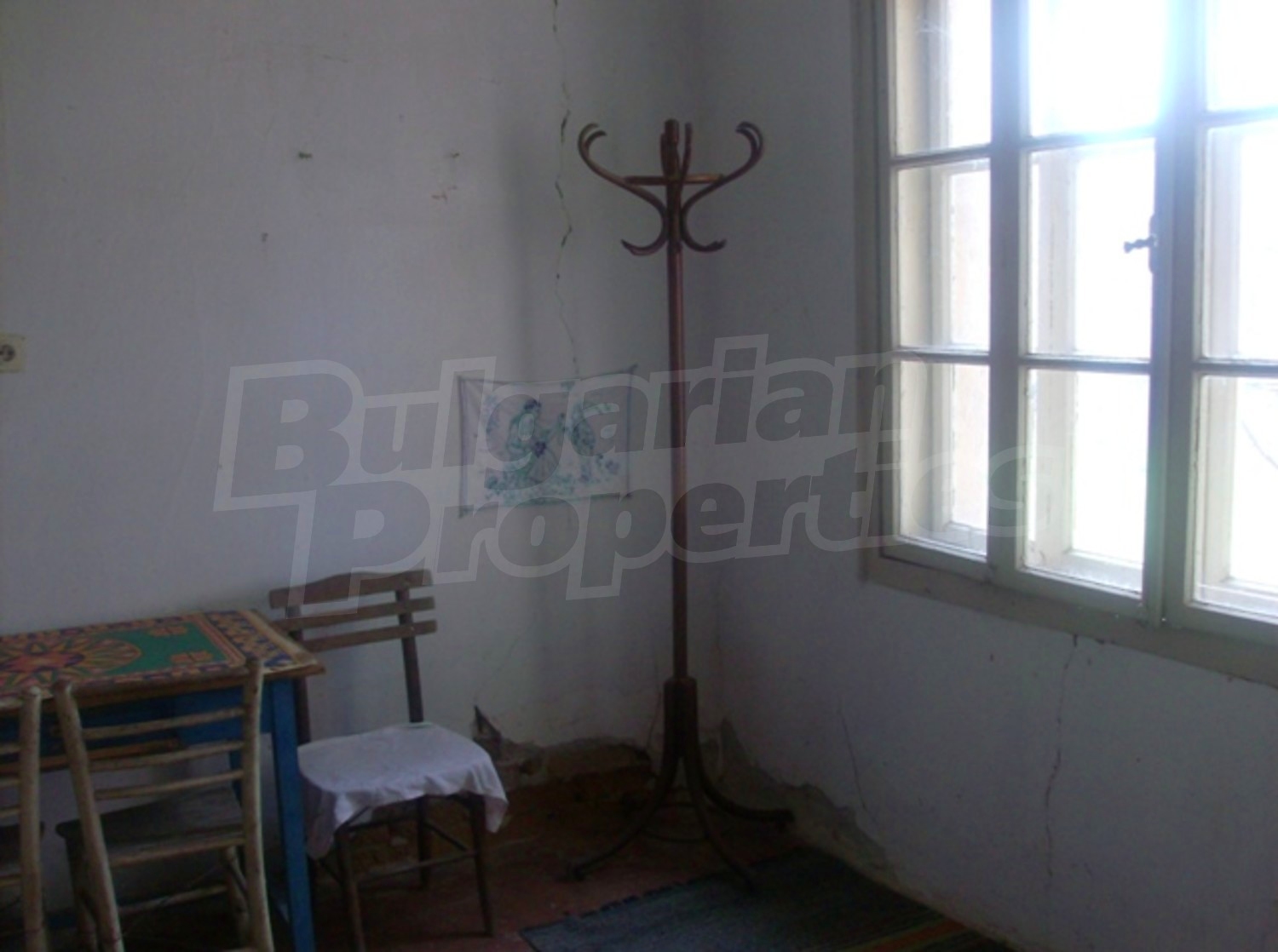 Gallery Picture 9