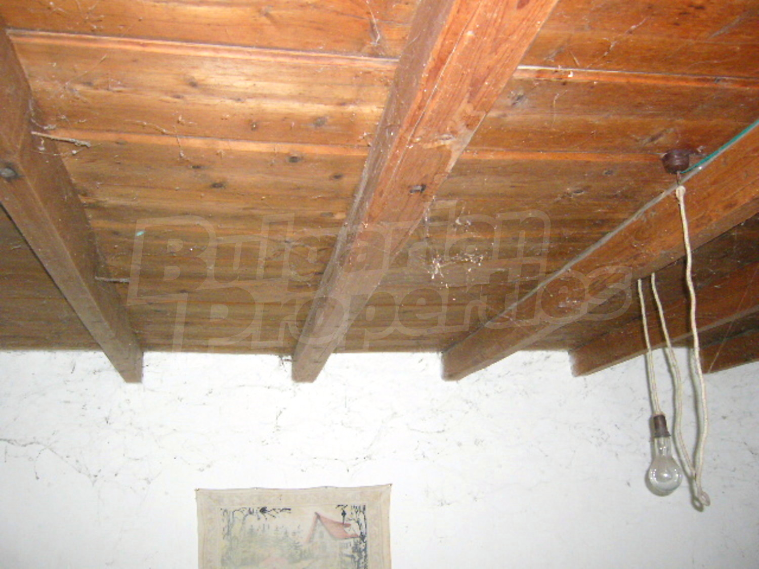 Gallery Picture 11