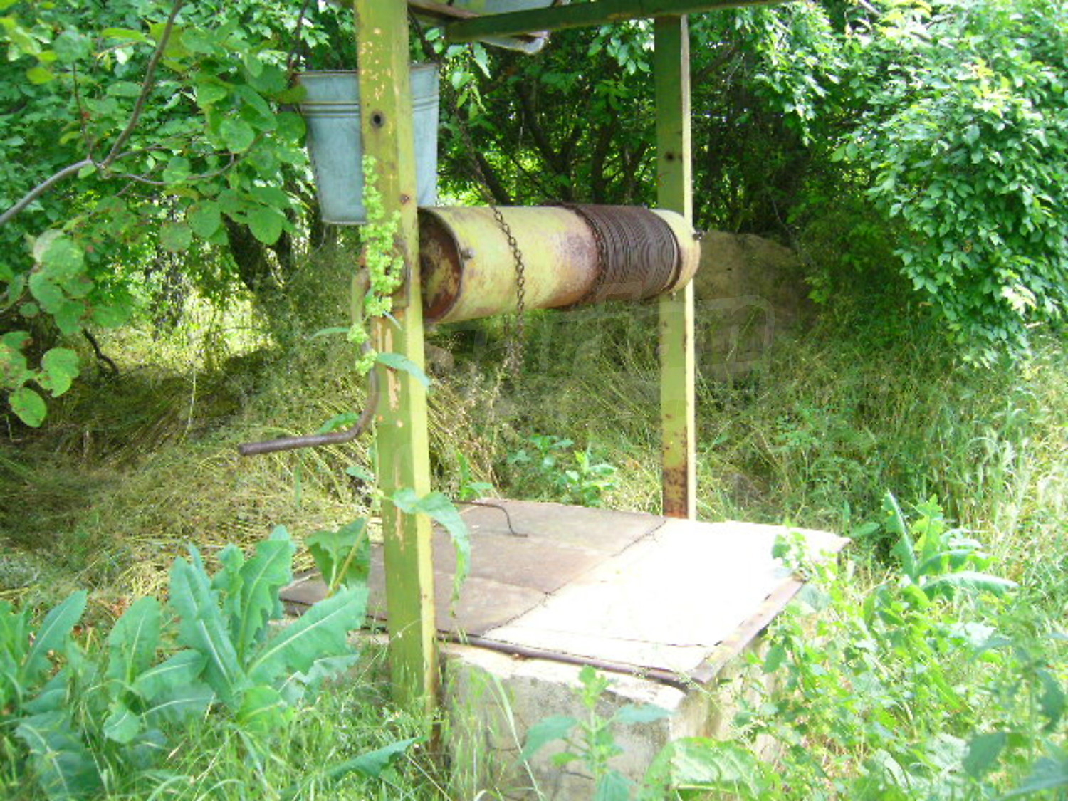 Gallery Picture 13